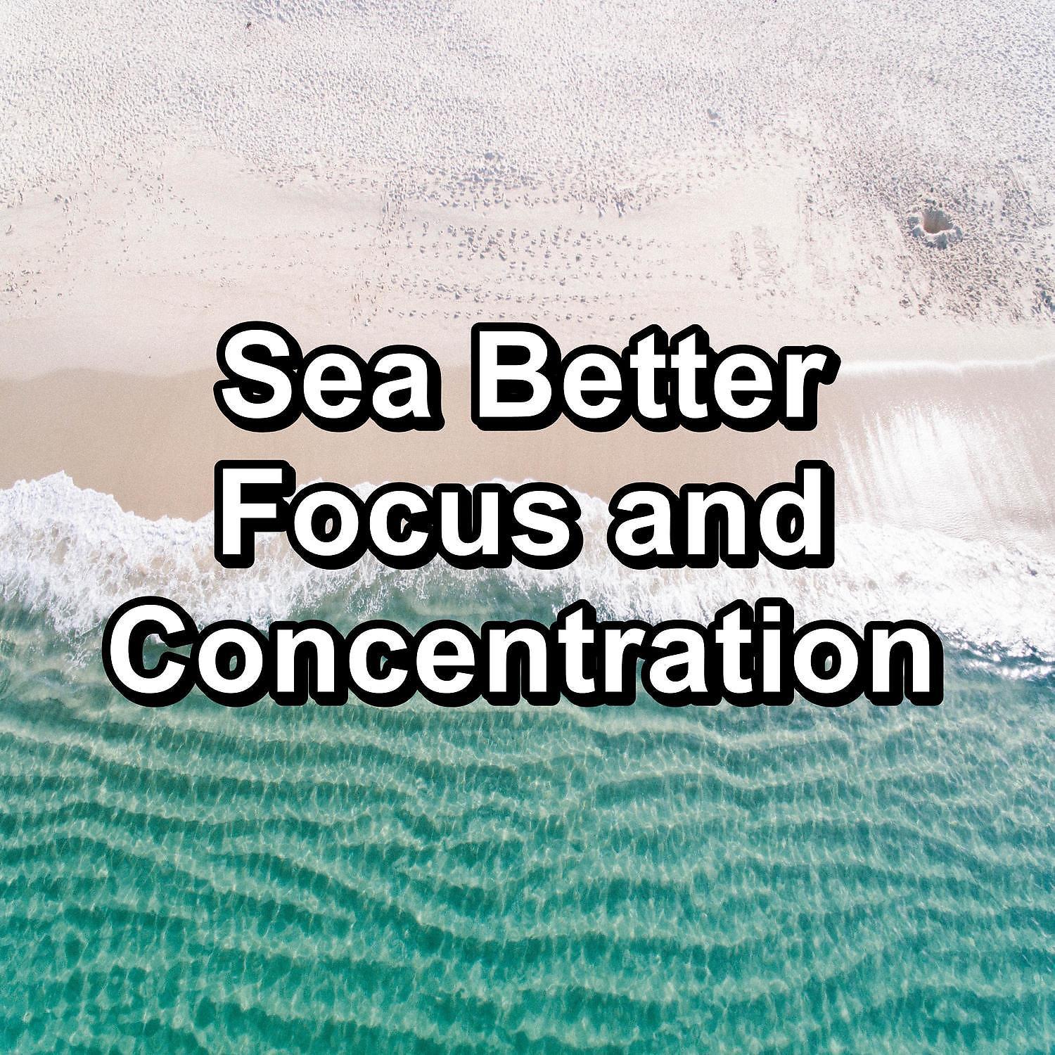 Постер альбома Sea Better Focus and Concentration