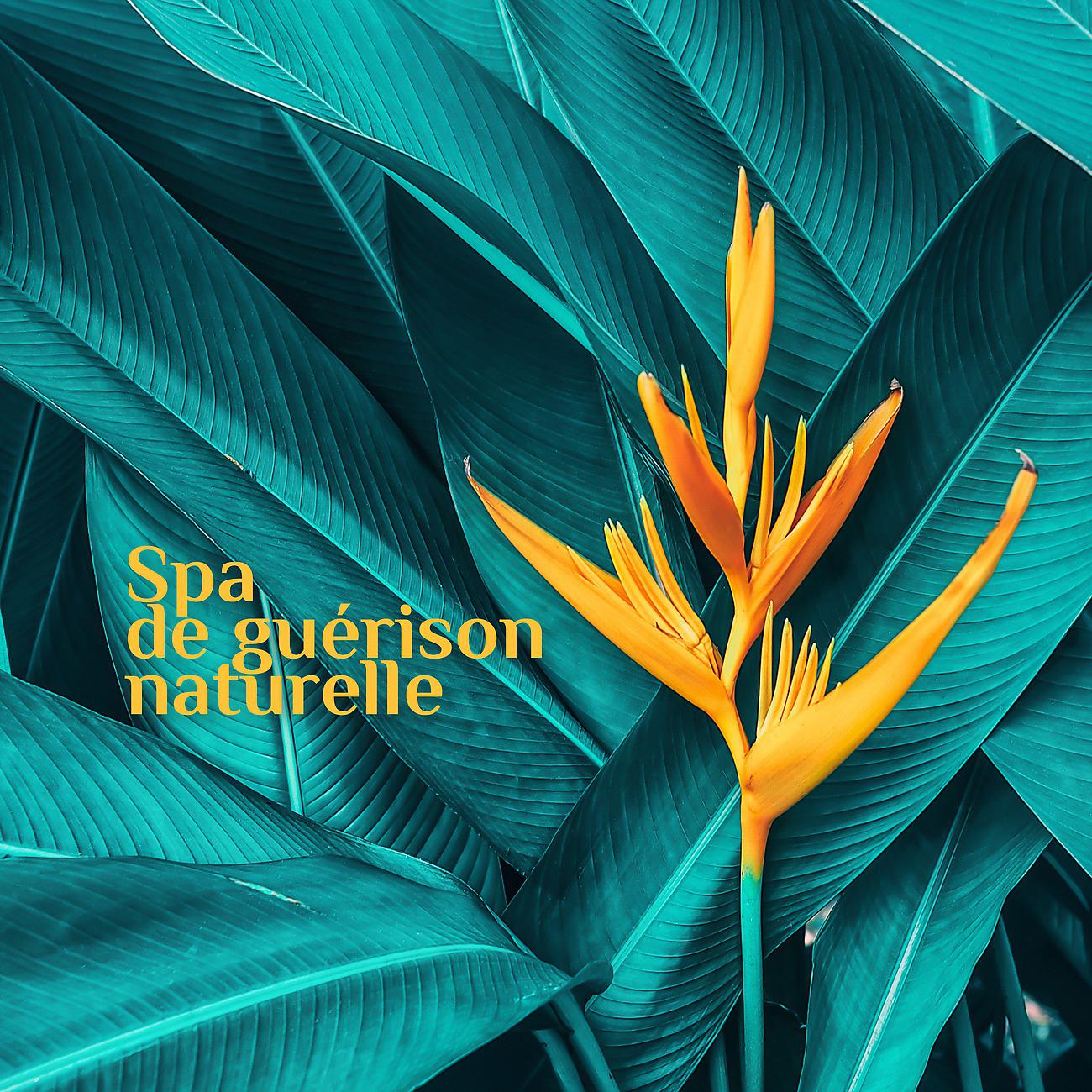 Постер альбома Spa de guérison naturelle