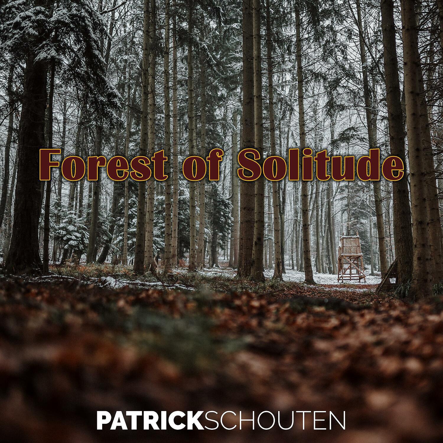 Постер альбома Forest of Solitude