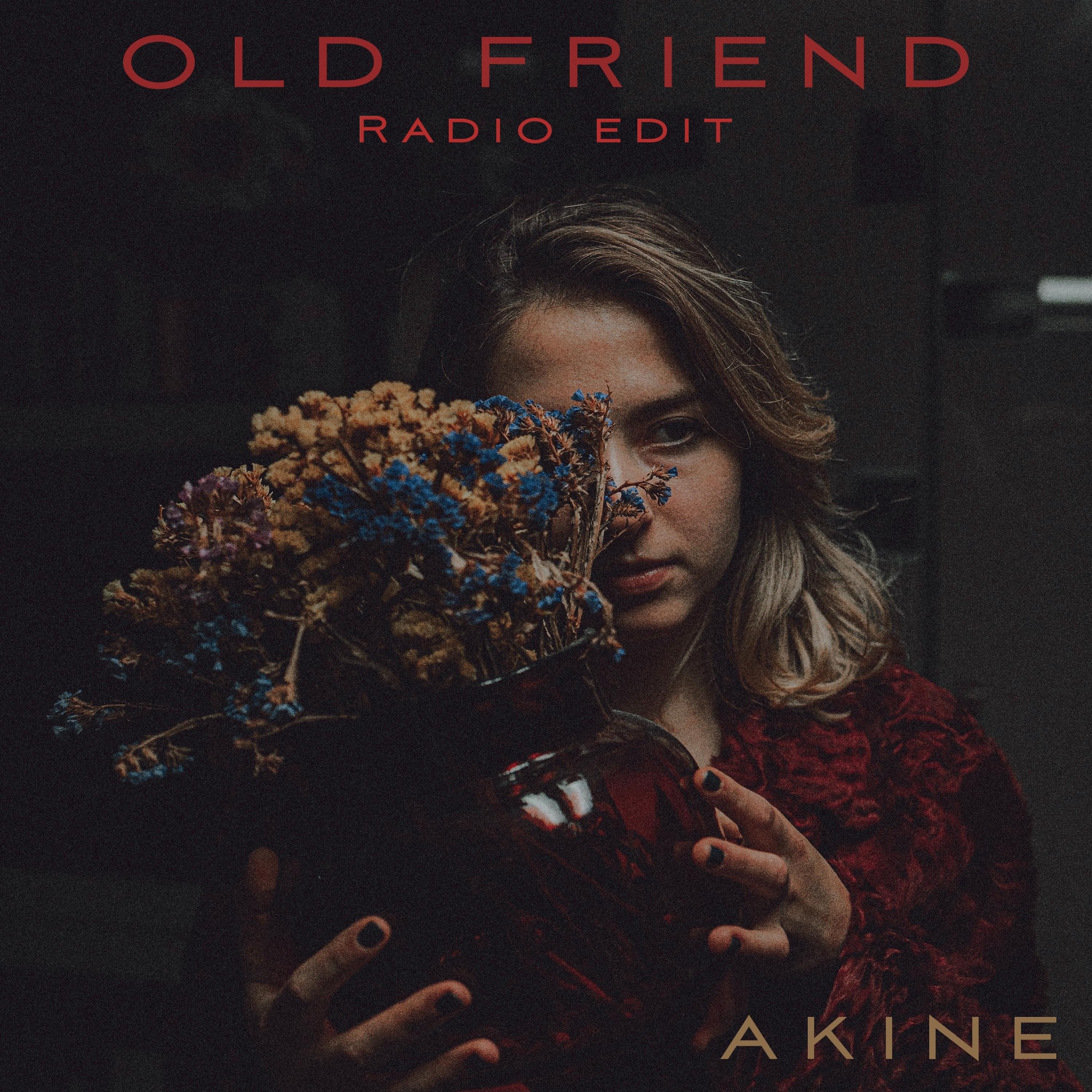 Постер альбома Old Friend (Radio Edit)