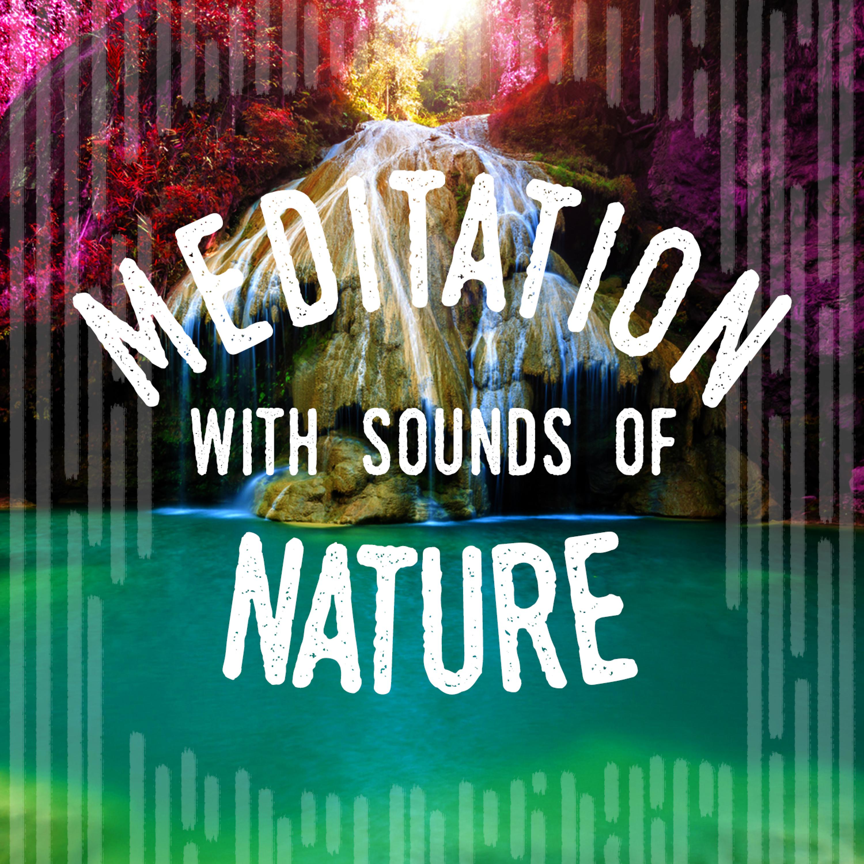 Постер альбома Meditation with Sounds of Nature