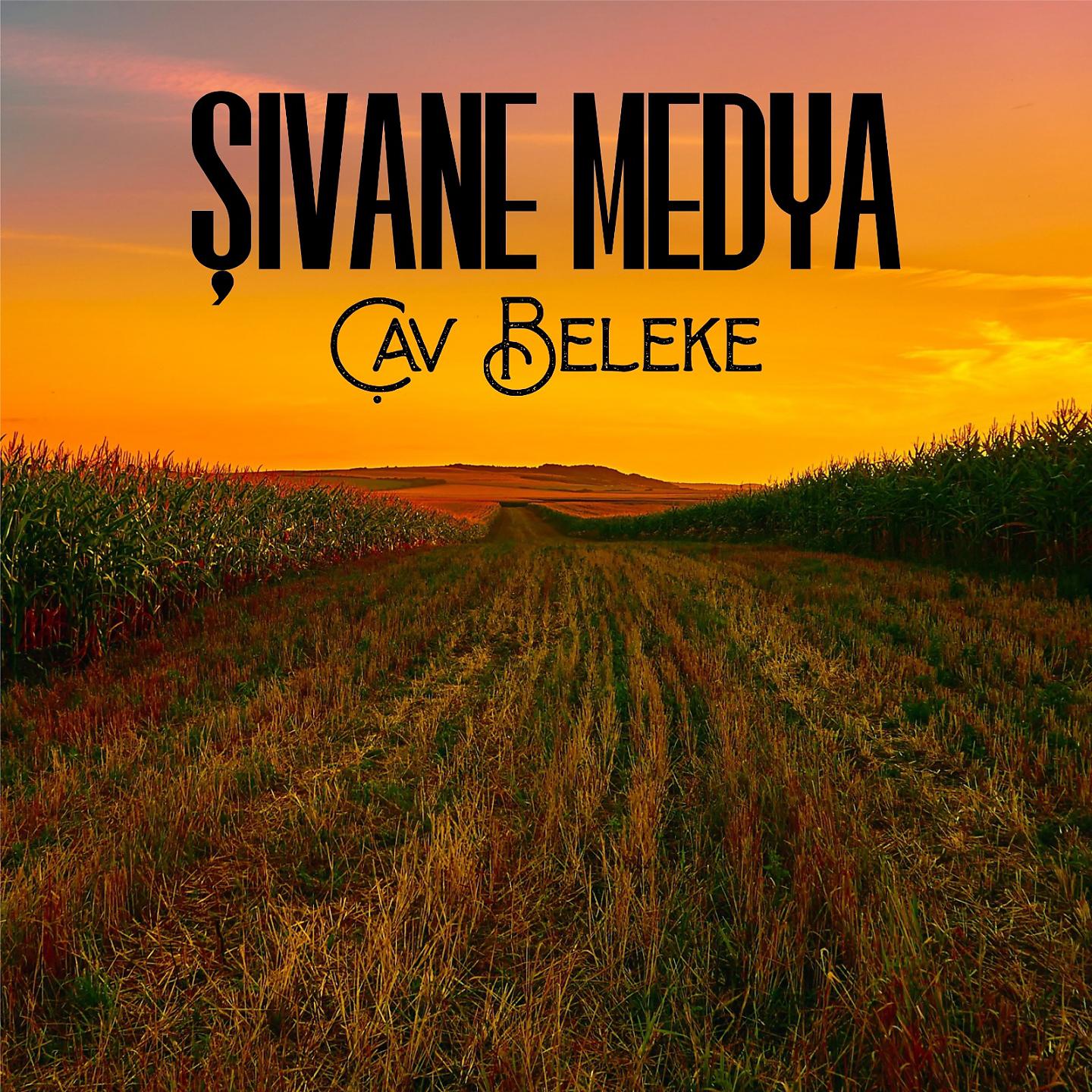 Постер альбома Çav Beleke