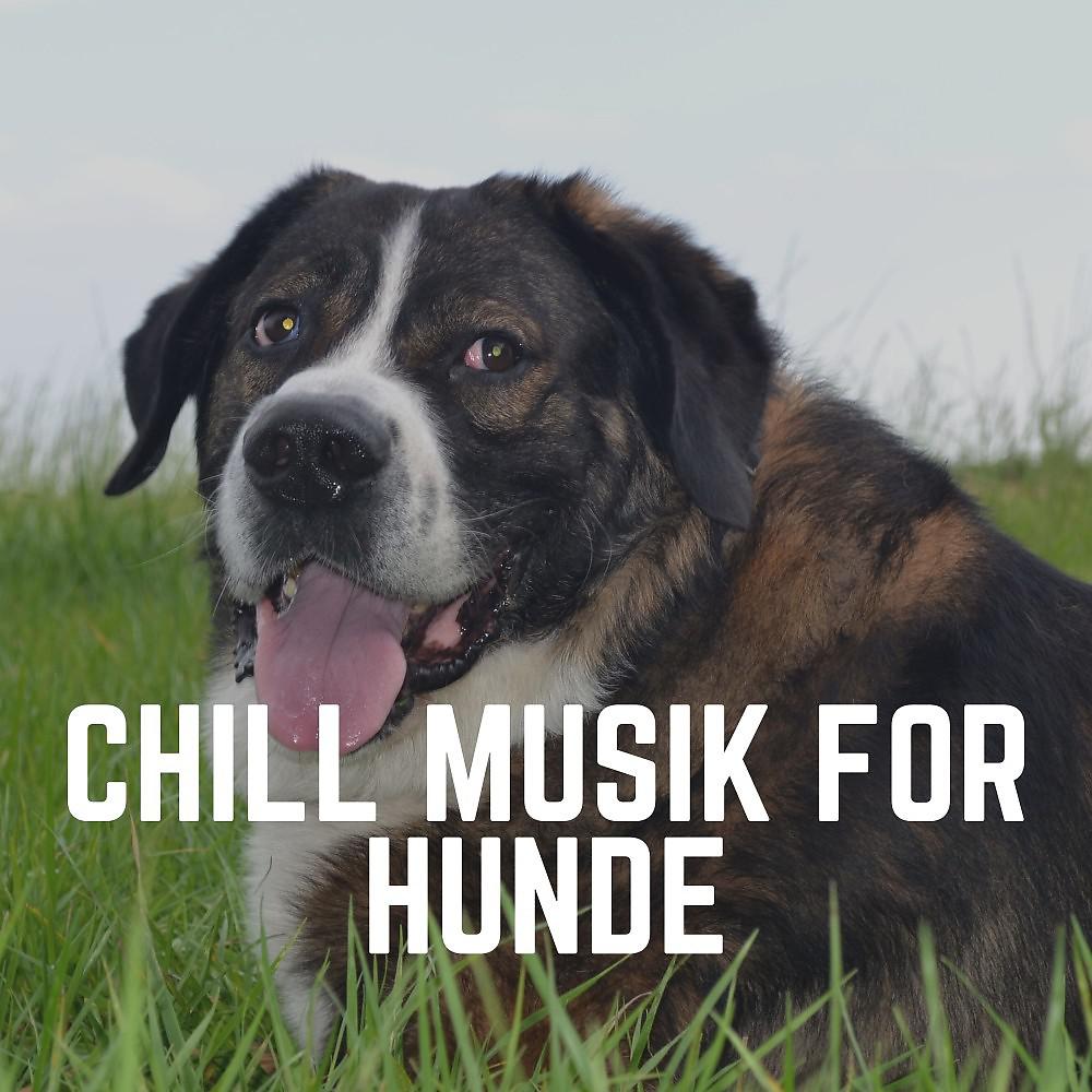 Постер альбома Chill Musik for Hunde