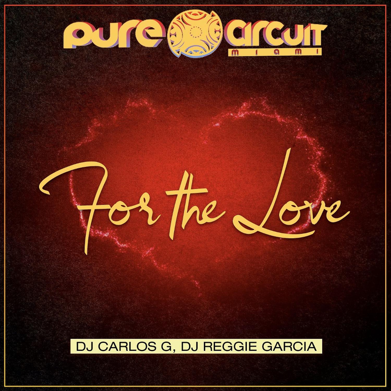 Постер альбома For The Love (DJ Paul Trive Remix)