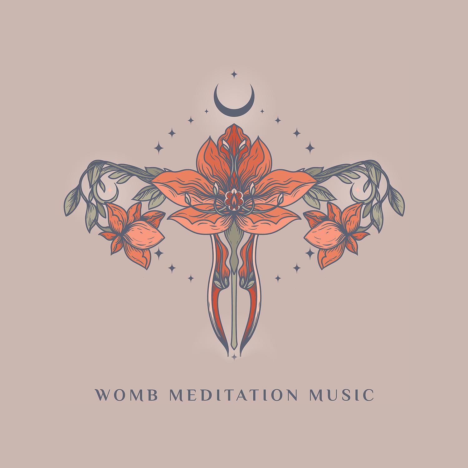 Постер альбома Womb Meditation Music: Sleep Meditation, Baby Music to Sleep