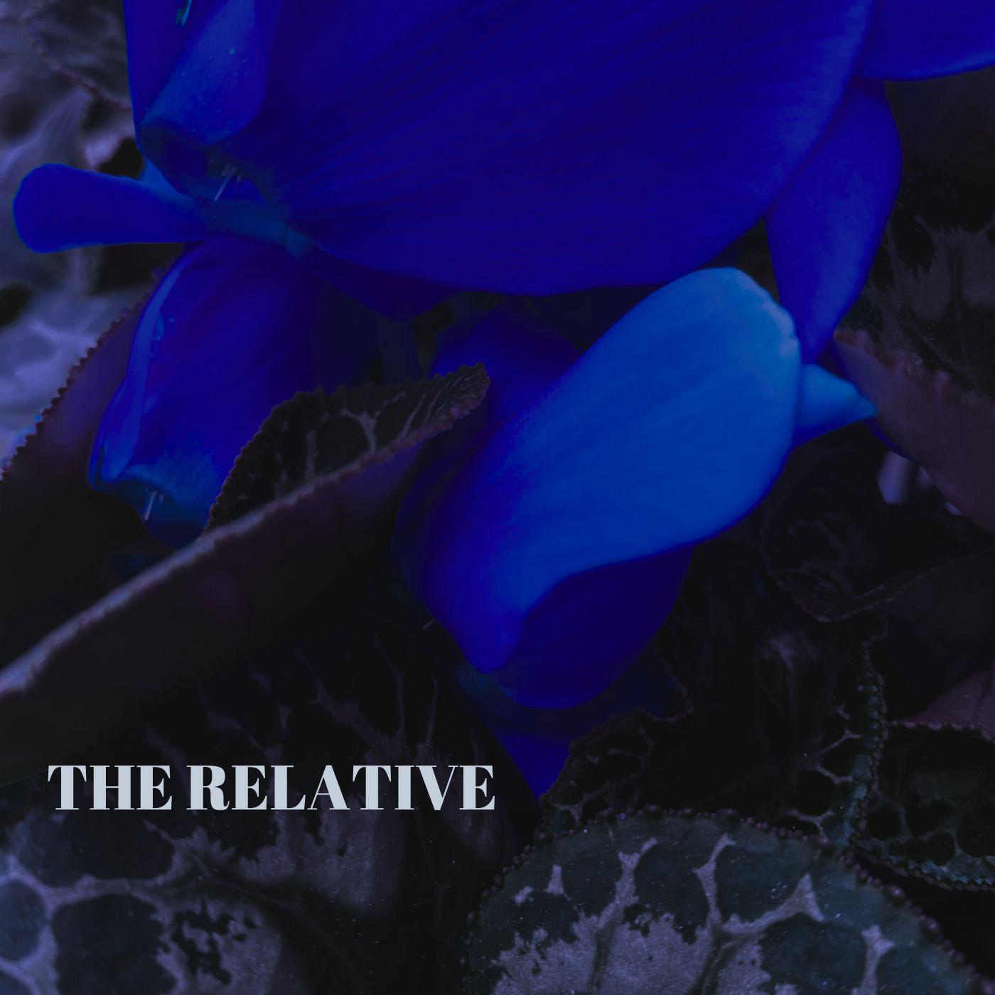 Постер альбома The relative