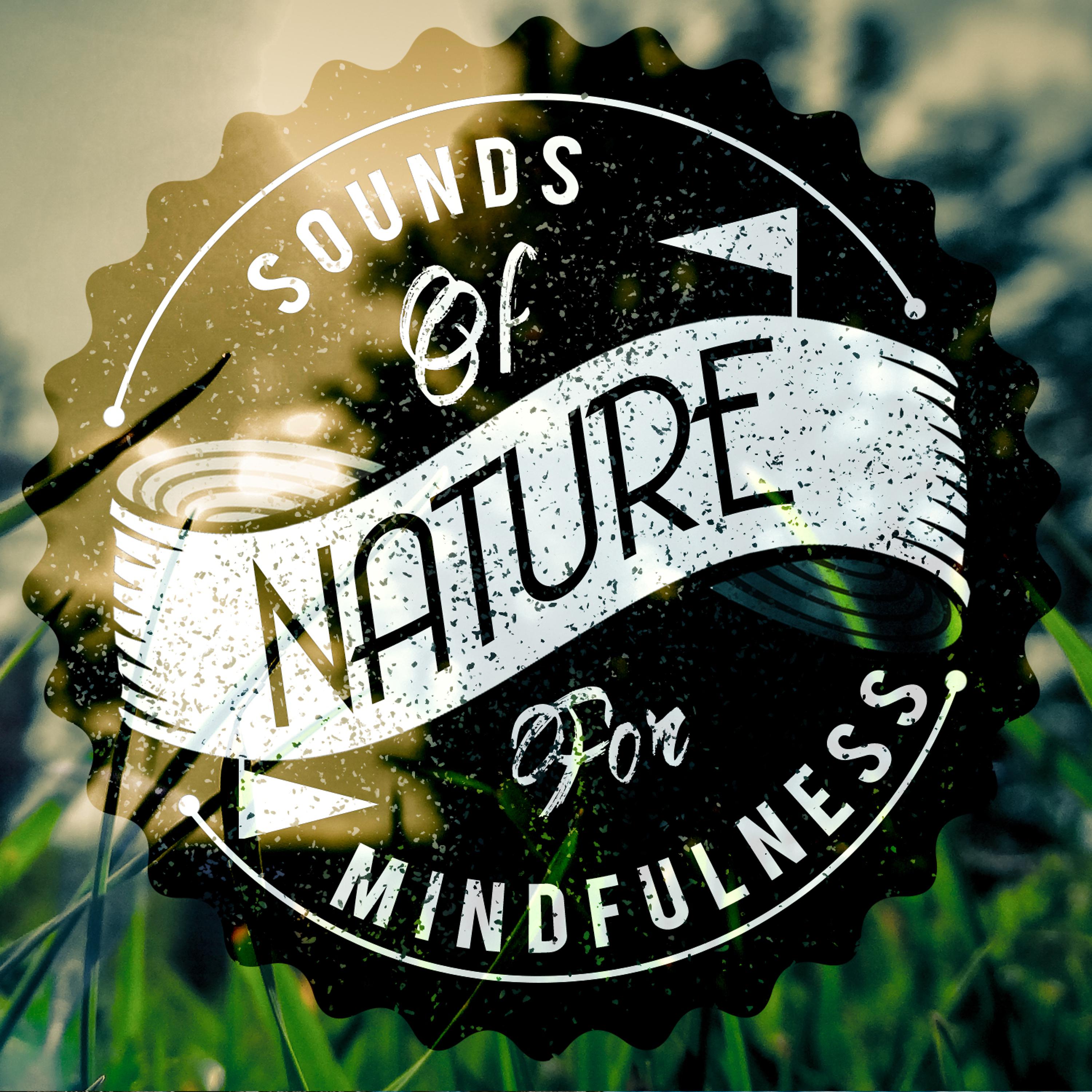 Постер альбома Sounds of Nature for Mindfulness