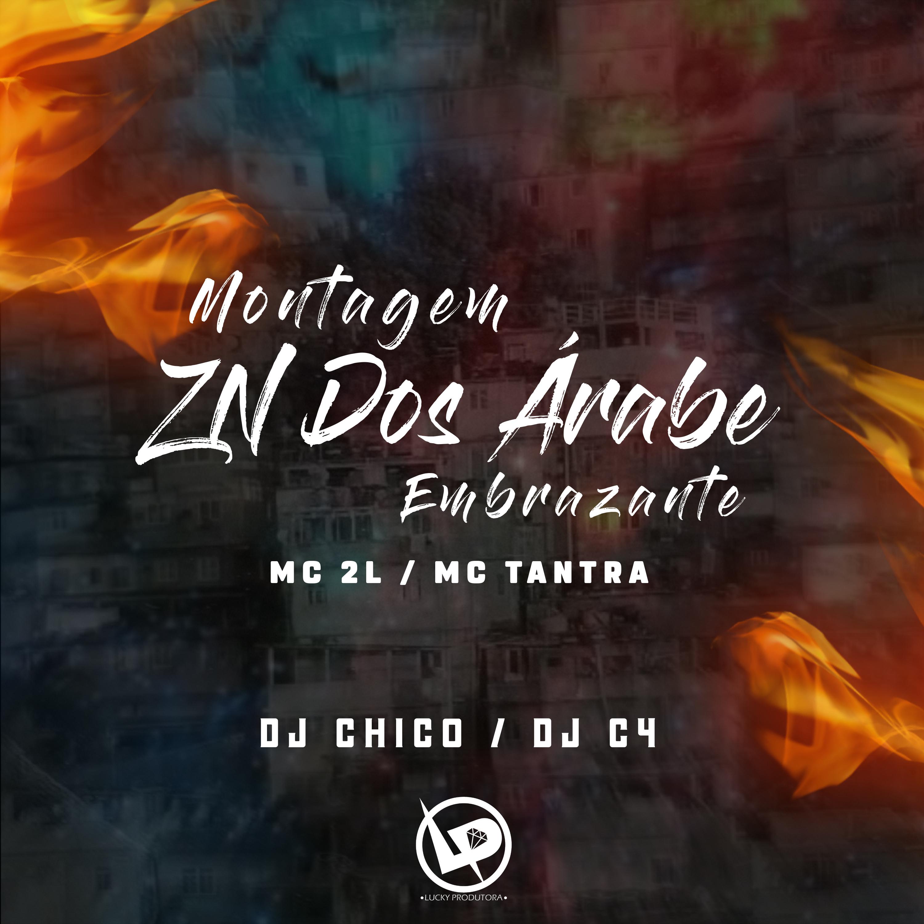 Постер альбома Montagem - Zn dos Árabe Embrazante
