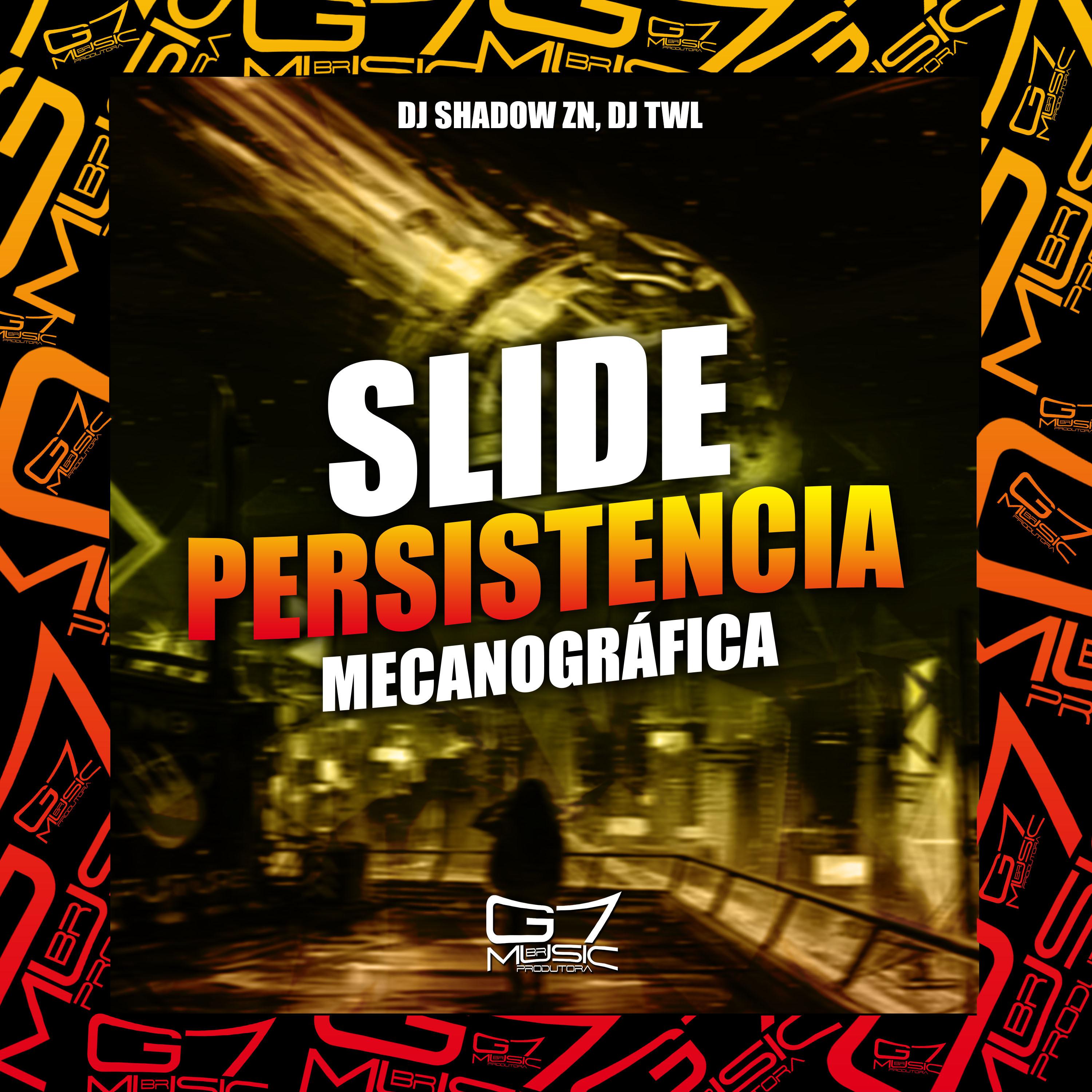 Постер альбома Slide Persistência Mecanográfica