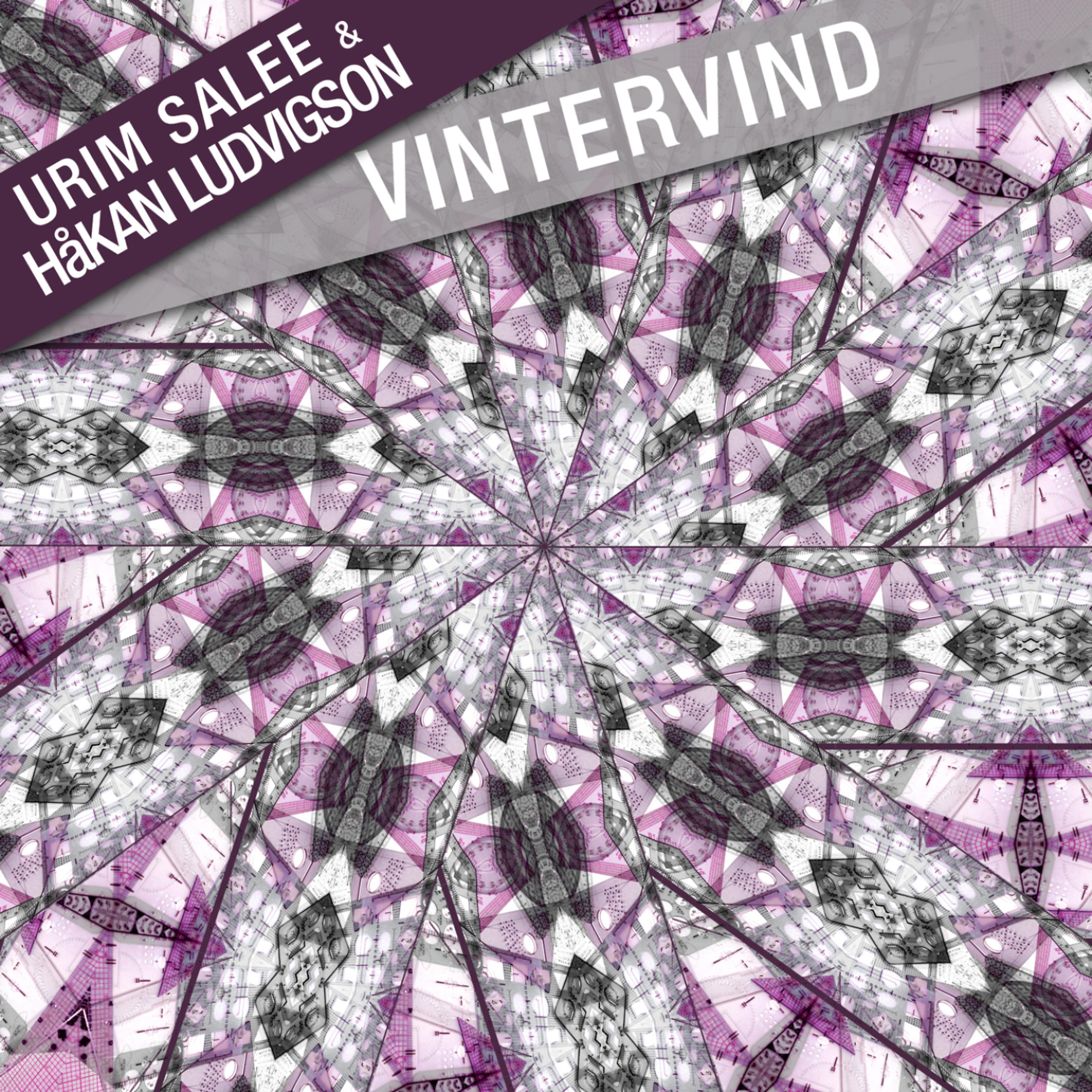 Постер альбома Vintervind - Single