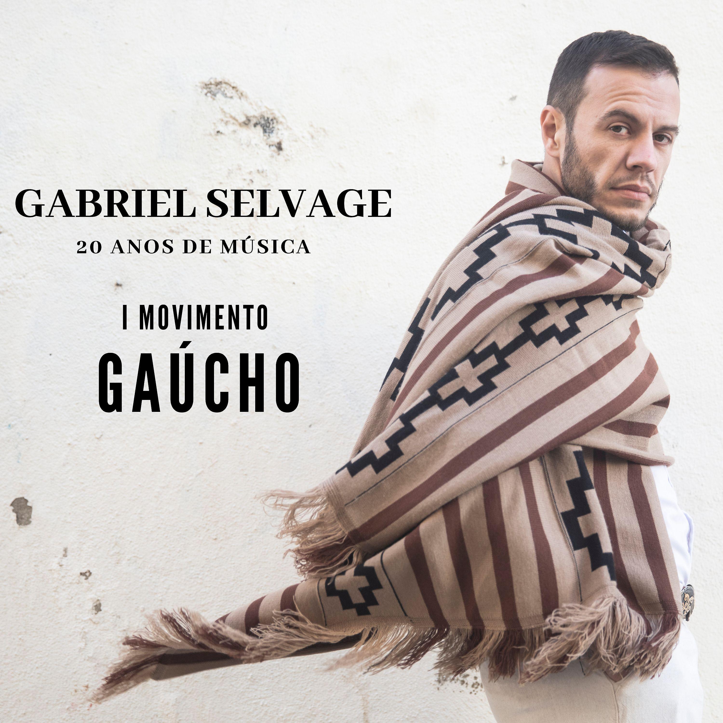 Постер альбома 20 Anos de Música, Movimento-Gaúcho