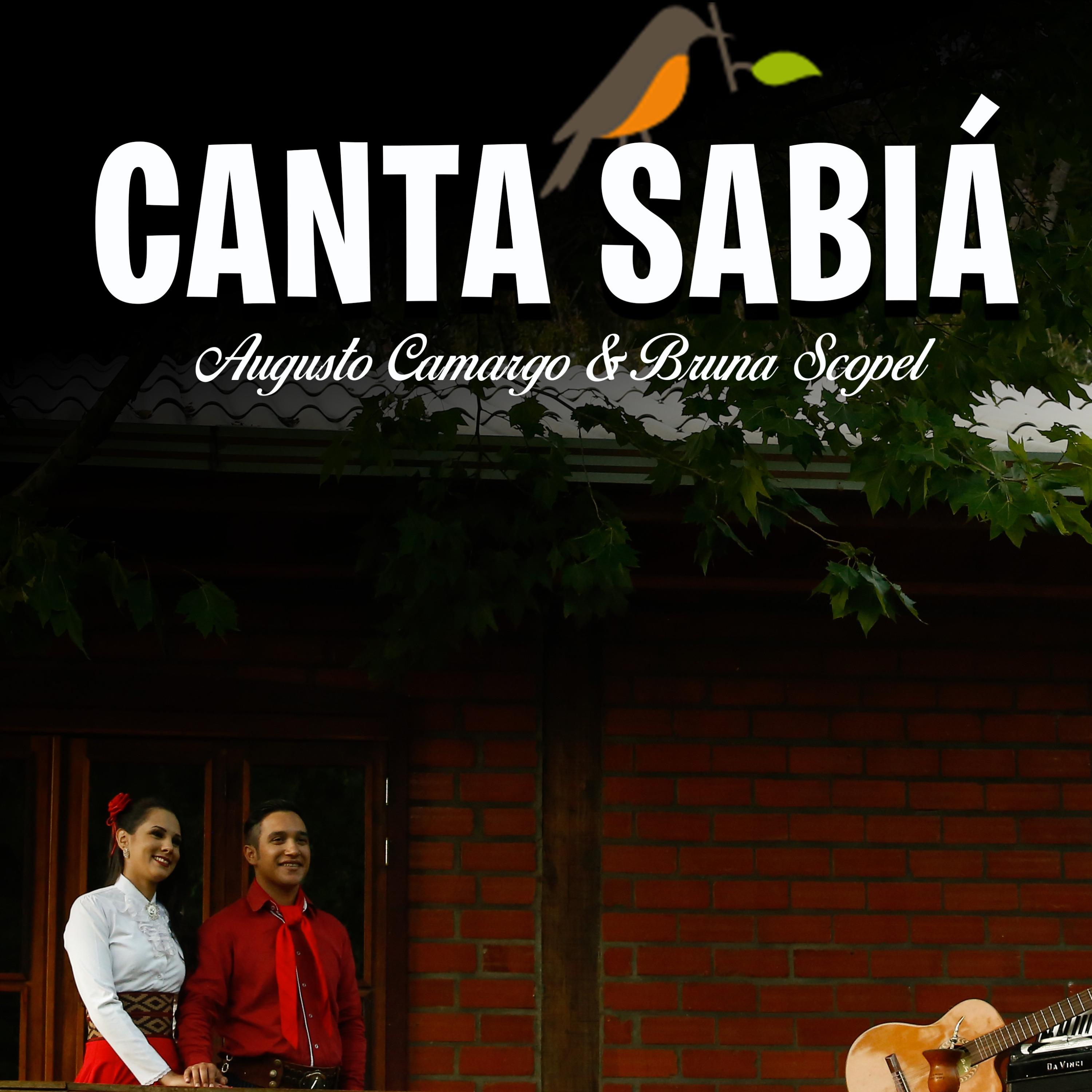 Постер альбома Canta Sabiá