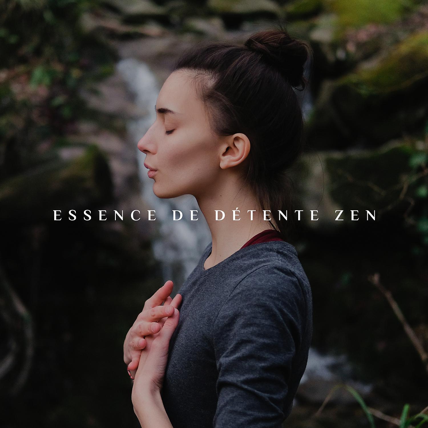 Постер альбома Essence de Détente Zen – Sons ambiants binauraux et Hz pour la pratique spirituelle