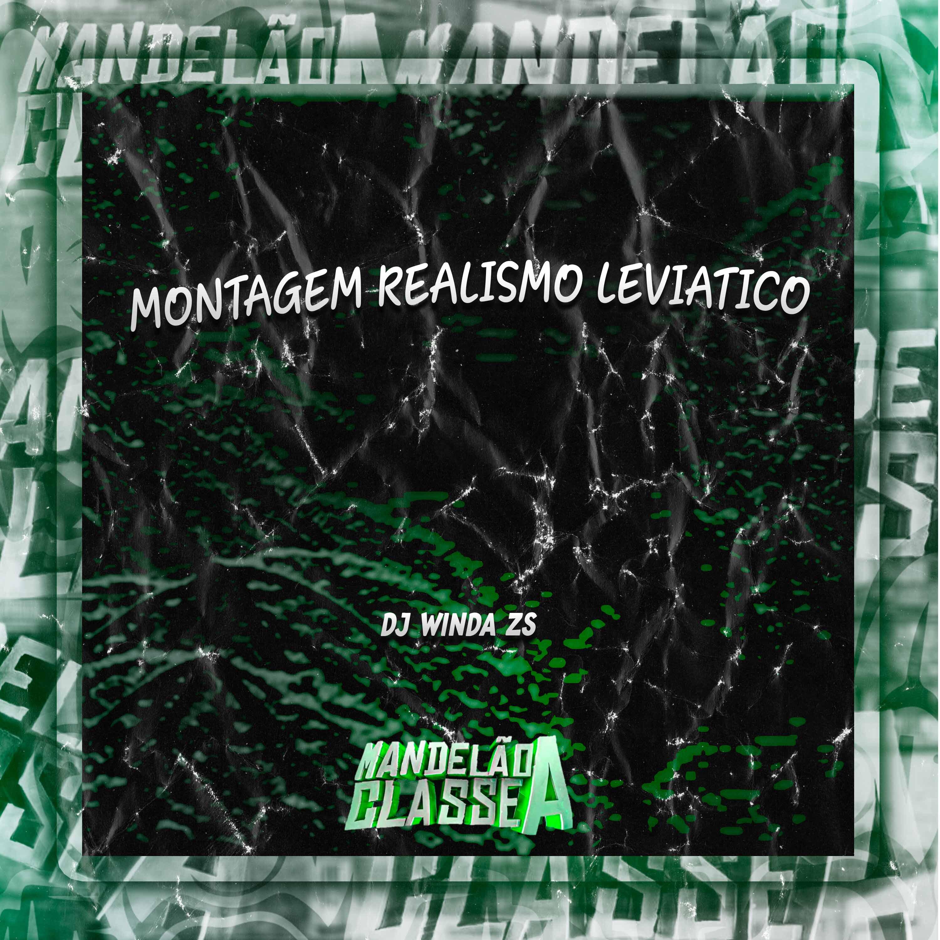 Постер альбома Montagem Realismo Leviatico