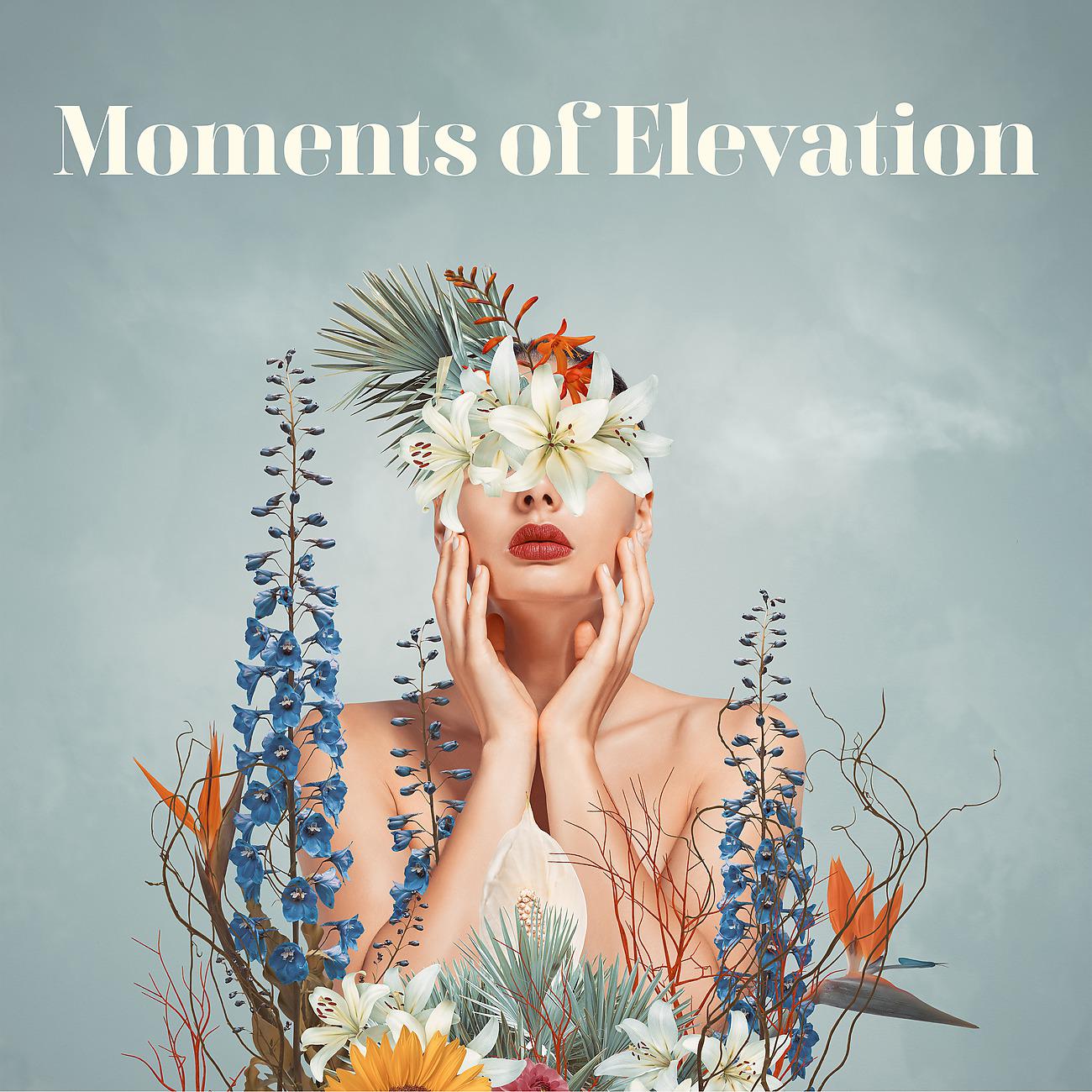 Постер альбома Moments of Elevation
