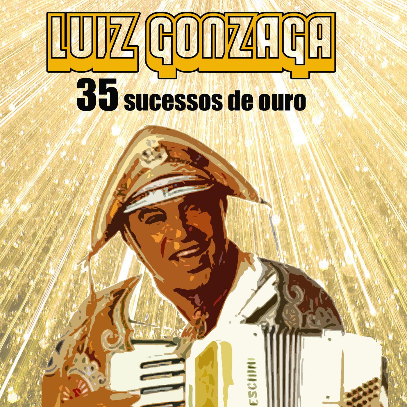 Постер альбома 35 sucessos de ouro