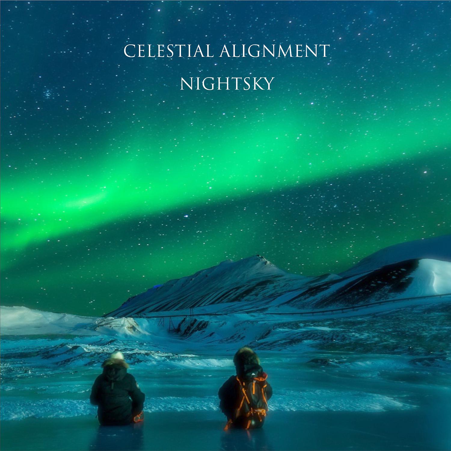Постер альбома Nightsky