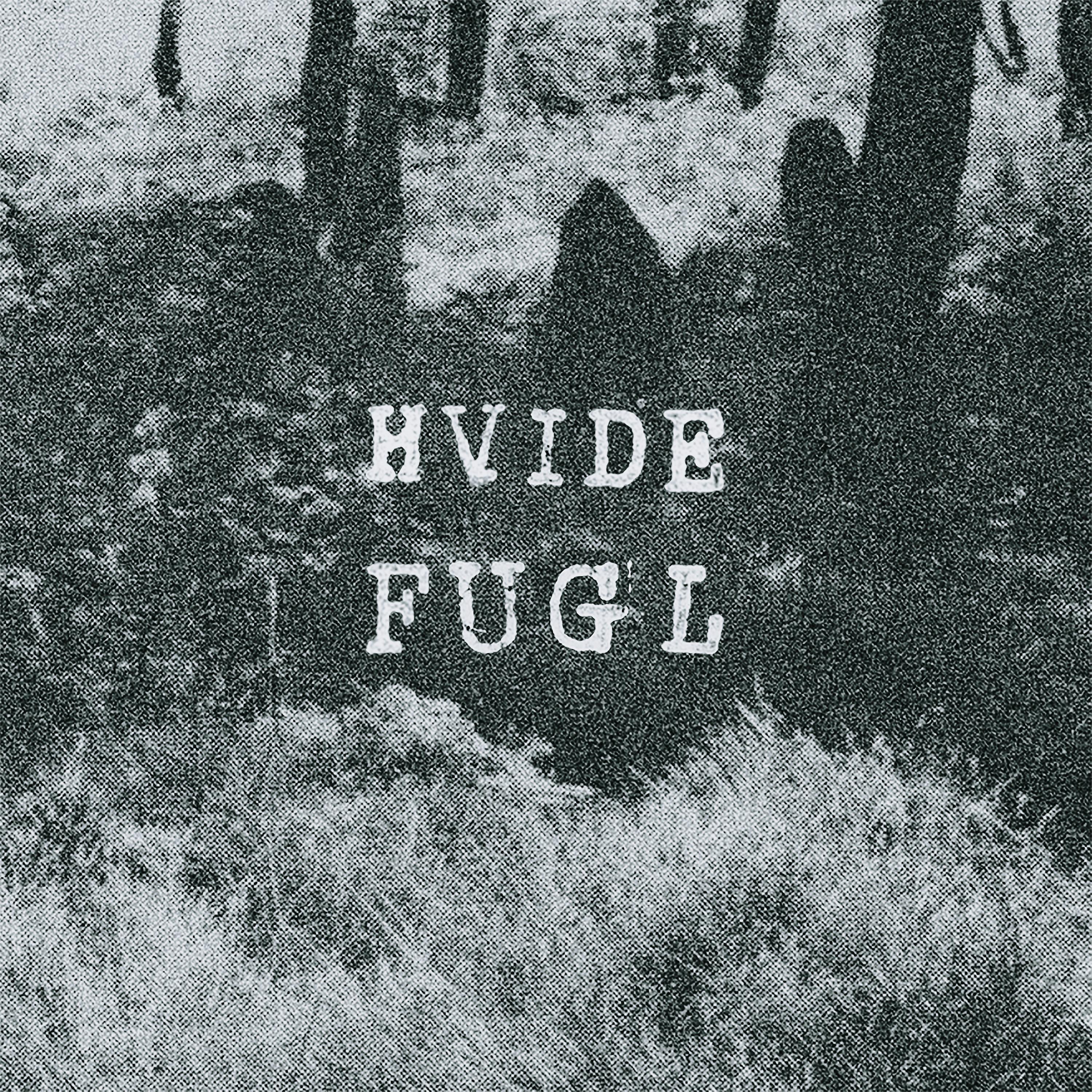 Постер альбома Hvide Fugl