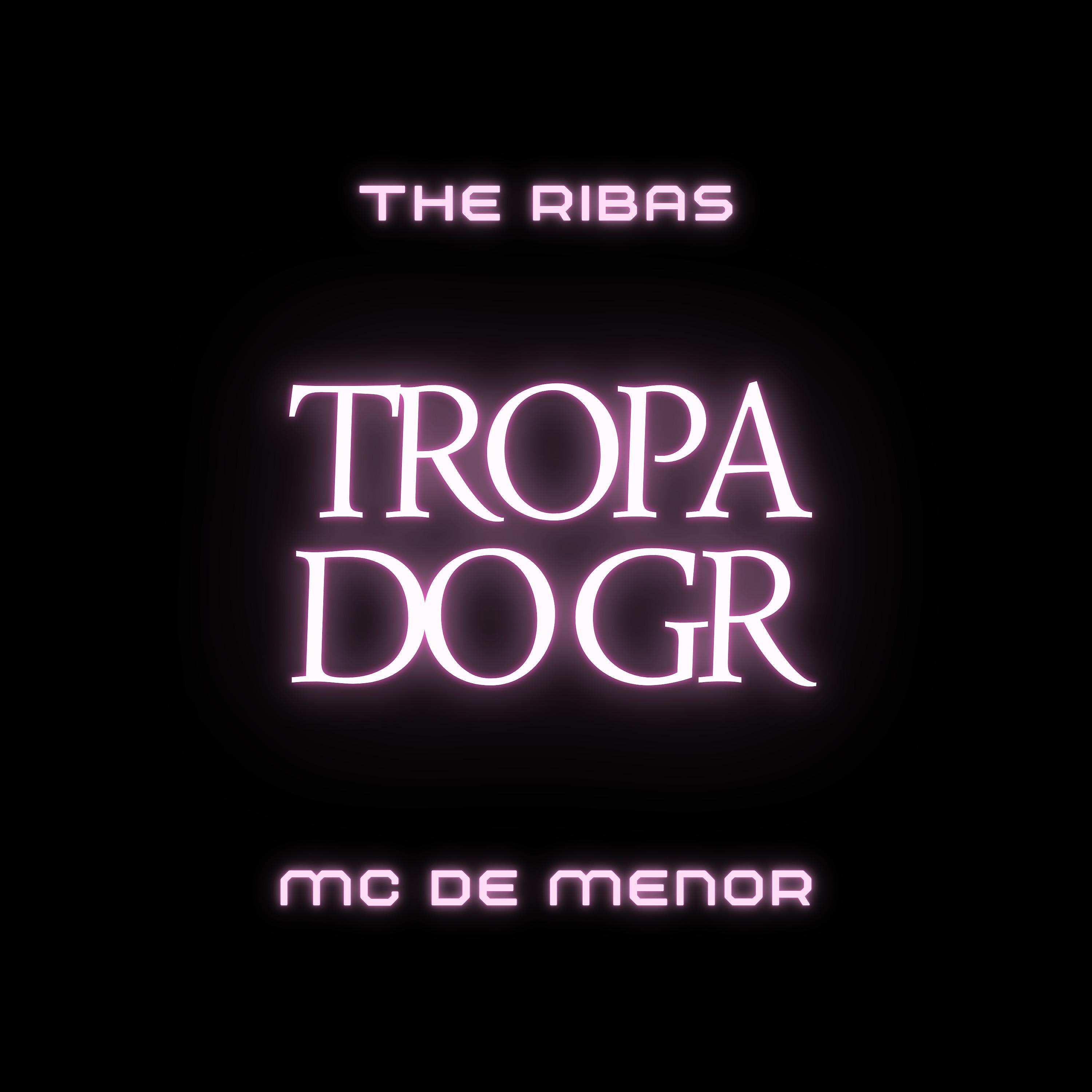 Постер альбома Tropa do G.R