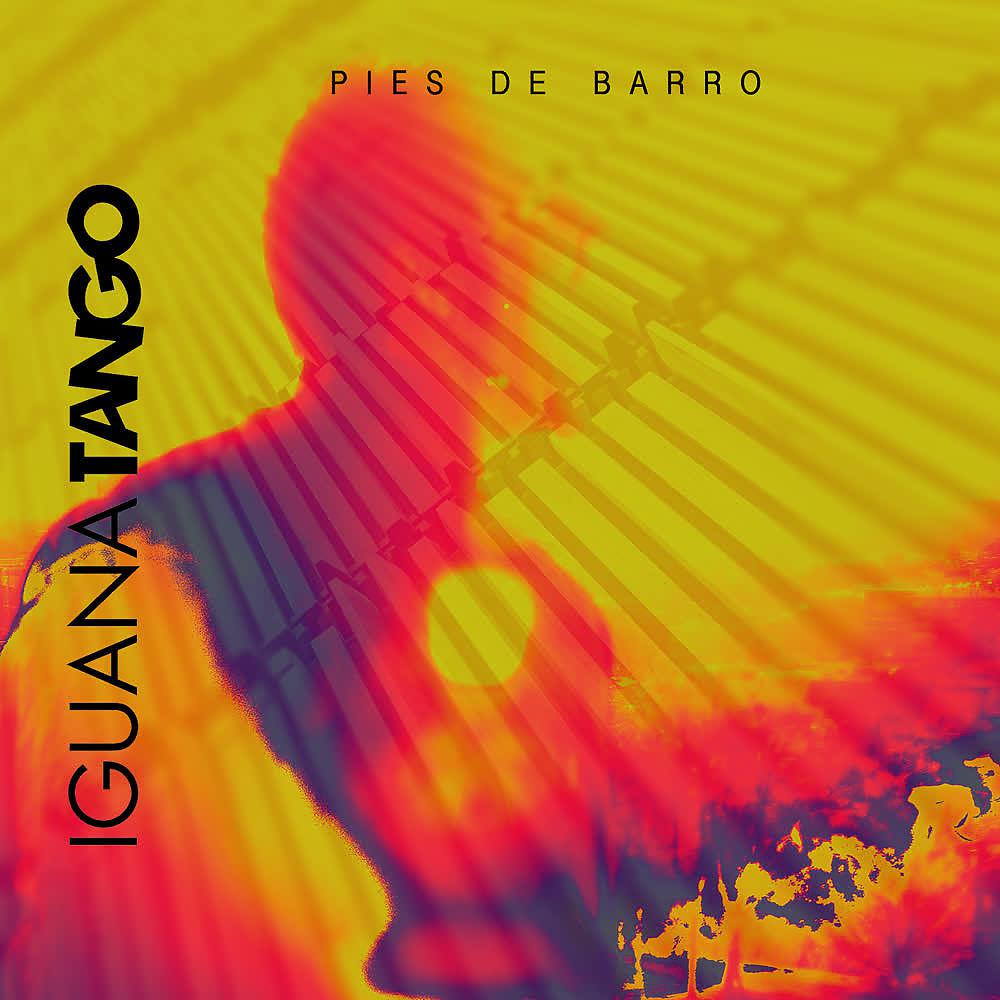 Постер альбома Pies de Barro