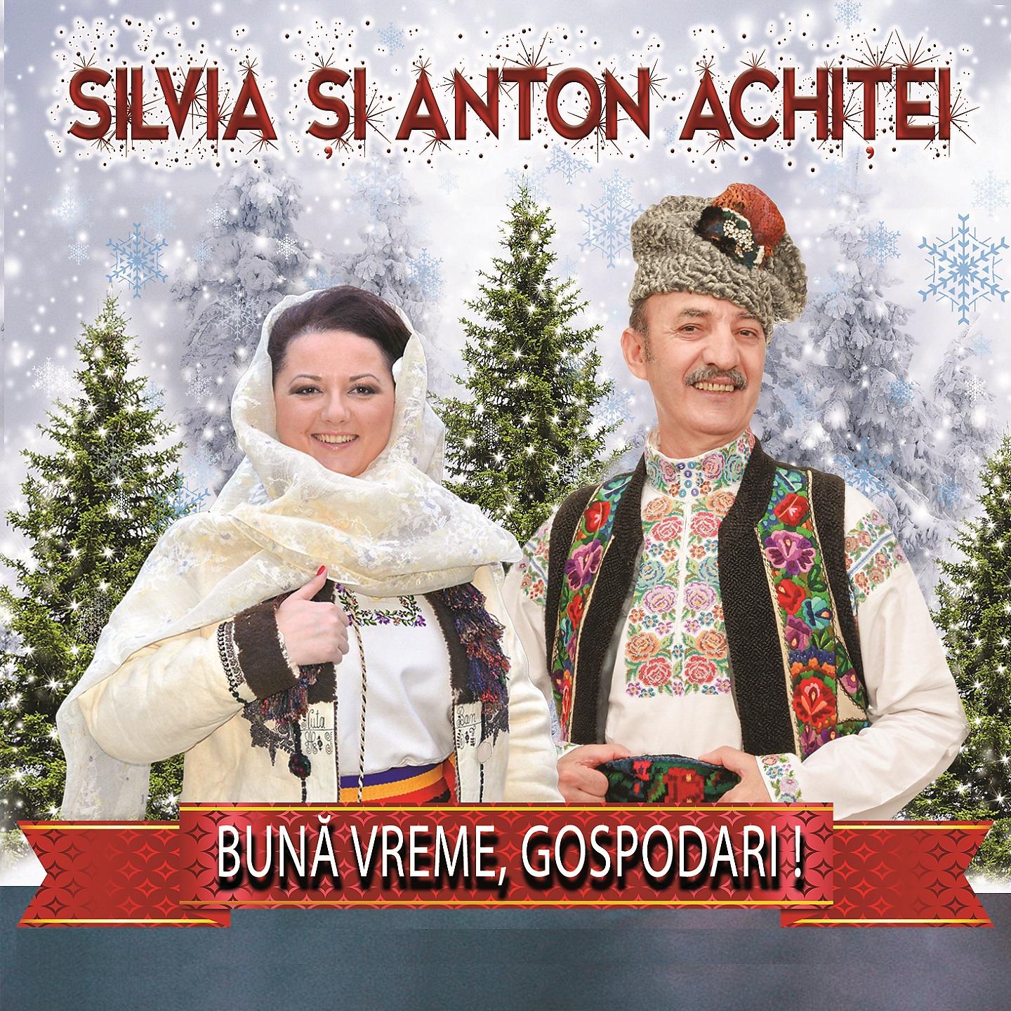 Постер альбома Bună Vreme, Gospodari!, Vol. 2