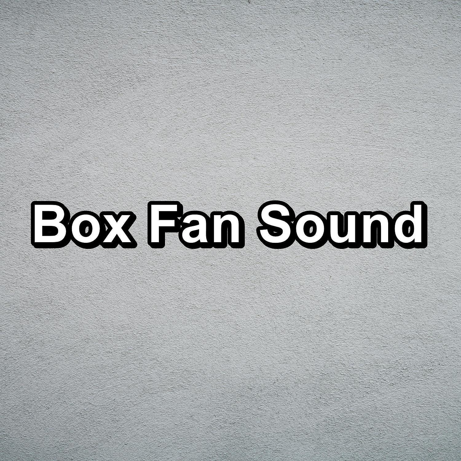 Постер альбома Box Fan Sound