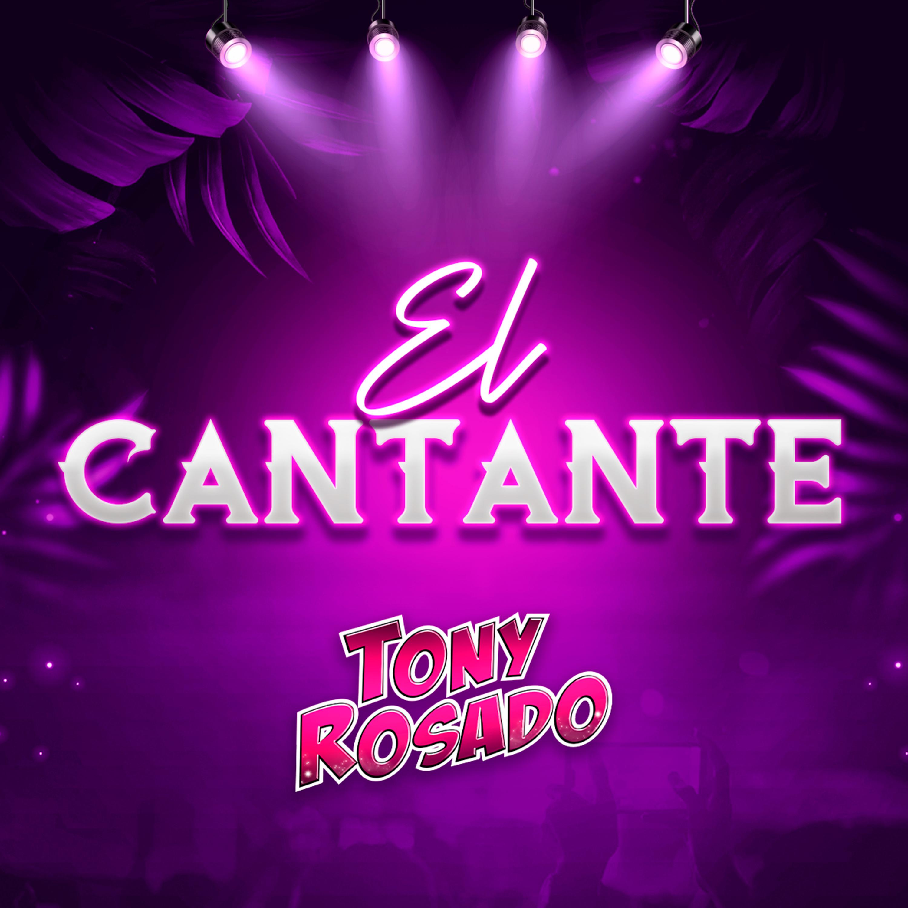 Постер альбома El Cantante