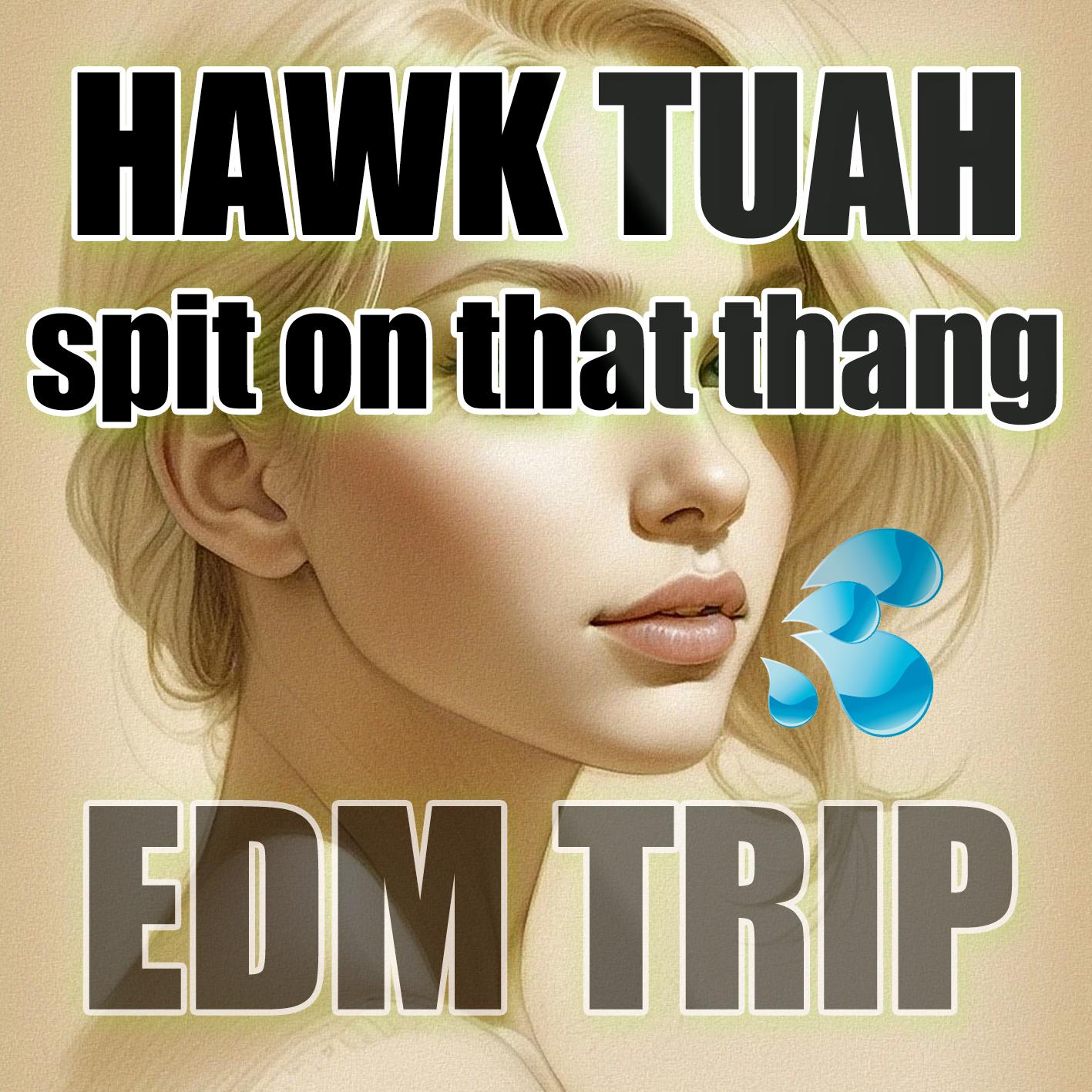 Постер альбома Hawk Tuah
