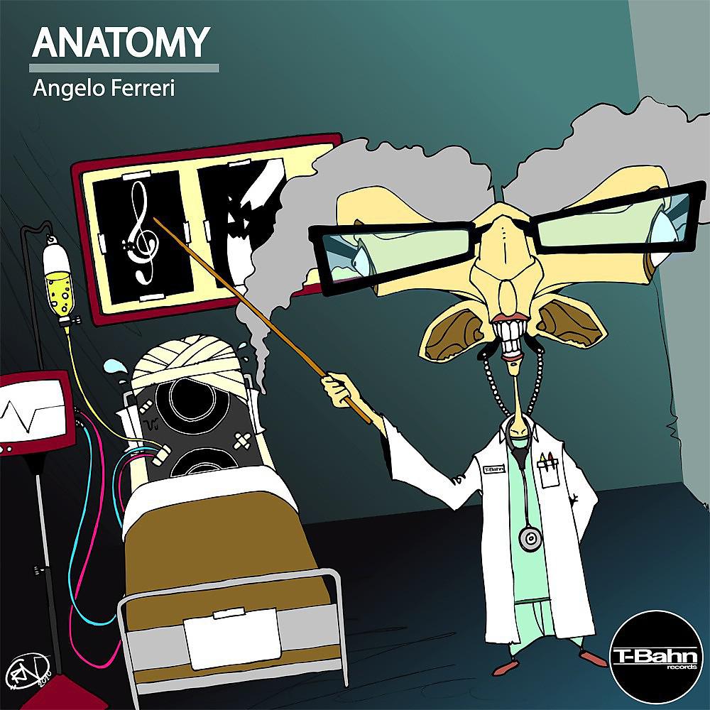Постер альбома Anatomy