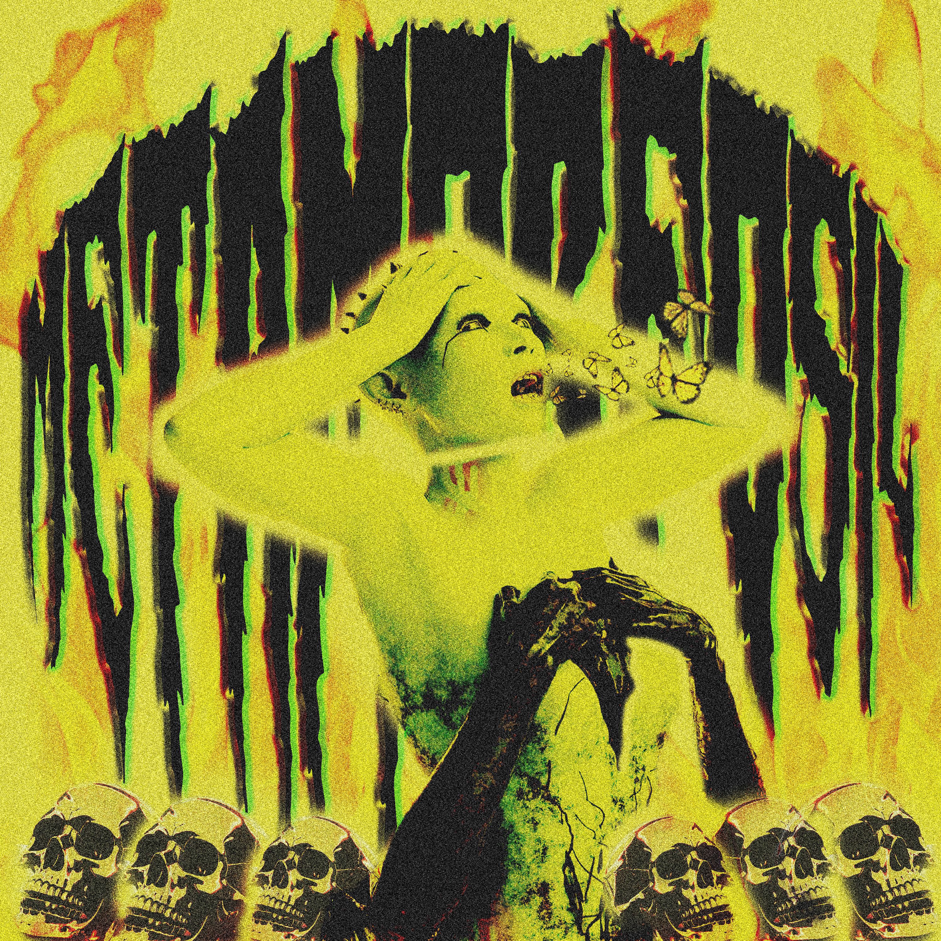 Постер альбома Metamorfósil