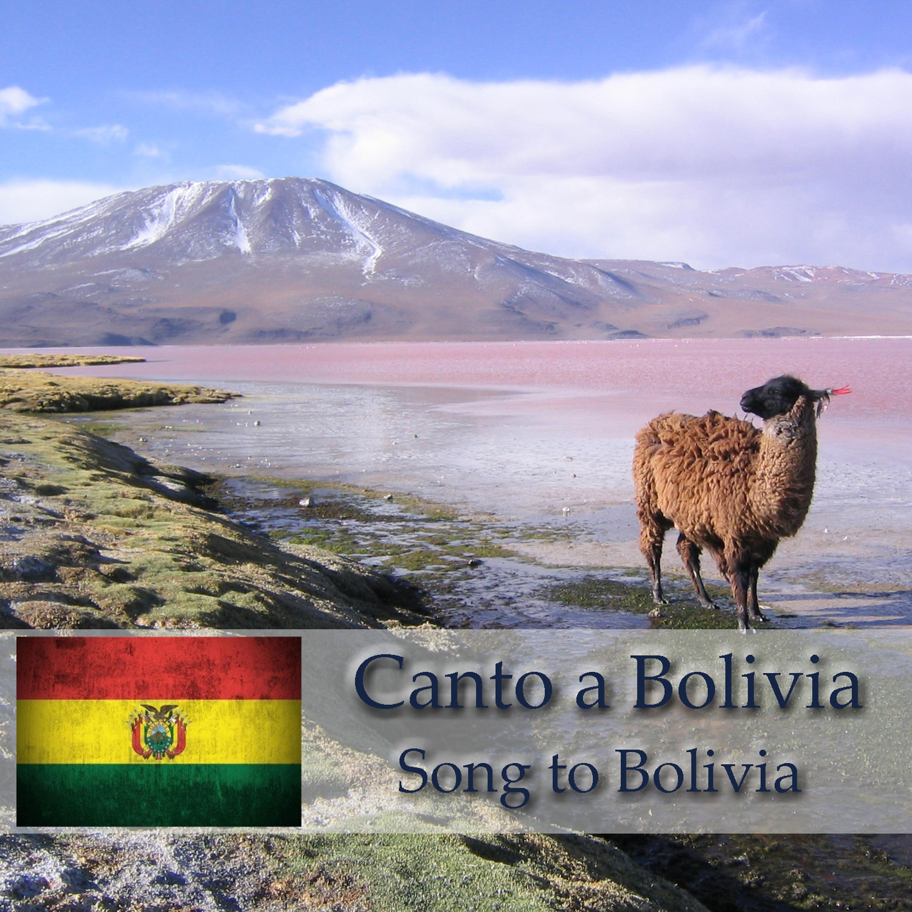 Постер альбома Canto a Bolivia