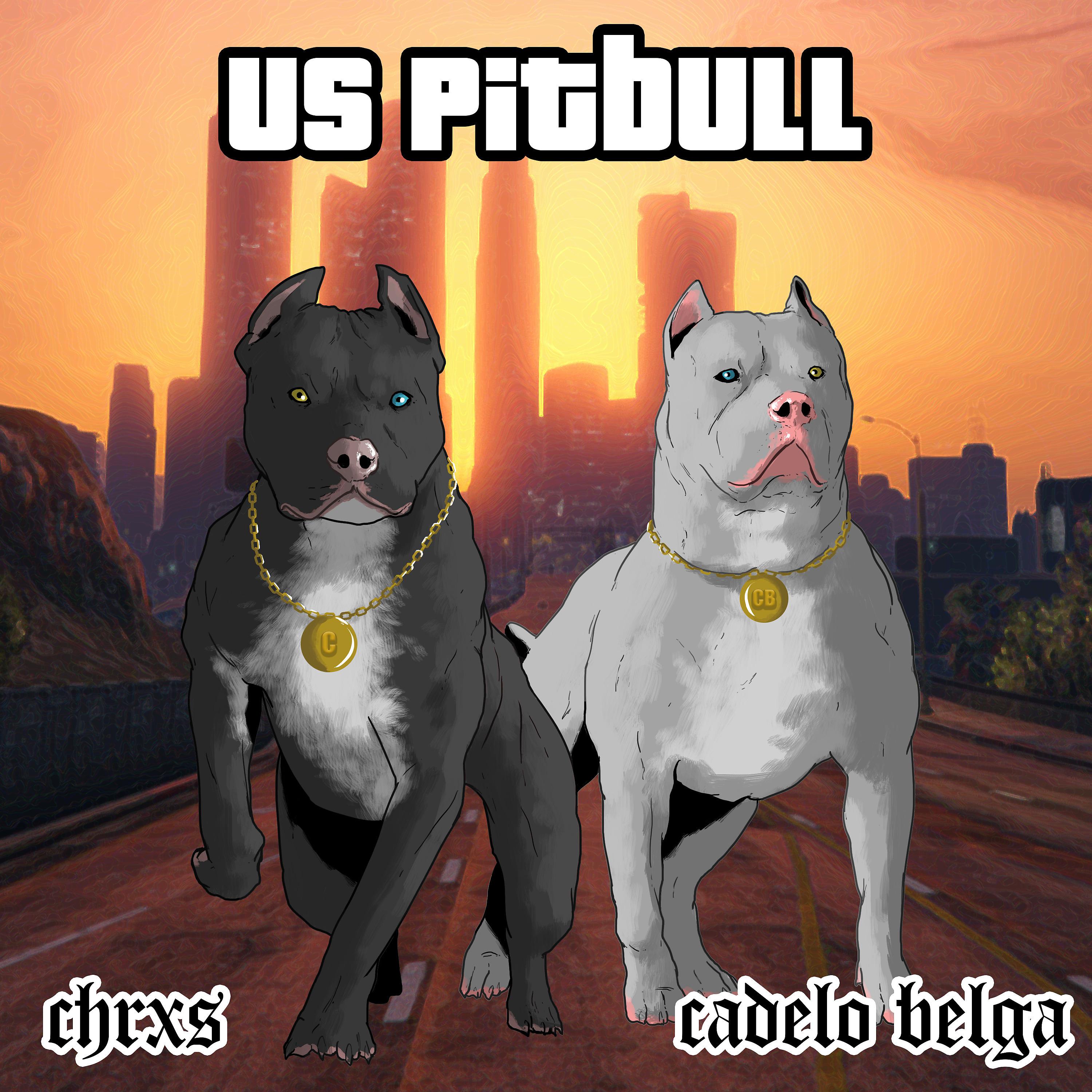 Постер альбома Us Pitbull