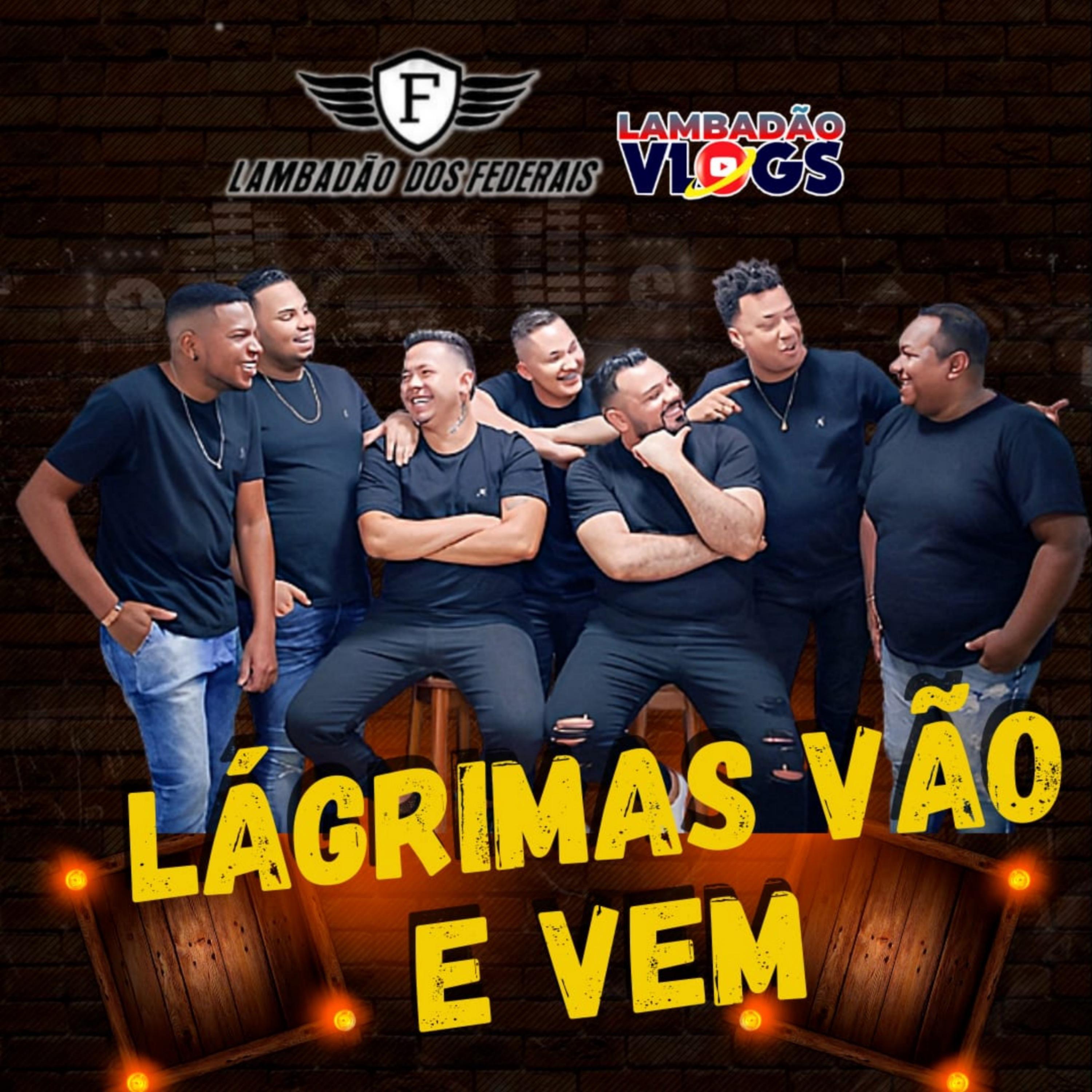 Постер альбома Lágrimas Vão e Vem