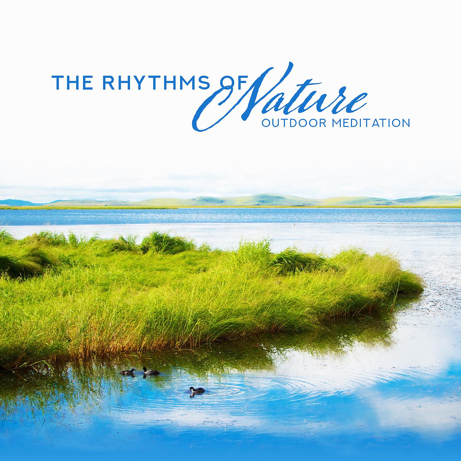 Постер альбома The Rhythms of Nature: Outdoor Meditation - Learn to Relax and Focus Your Mind & Sleep, Spa, Yoga Music (Rain, River, Beach, Birds, Water)