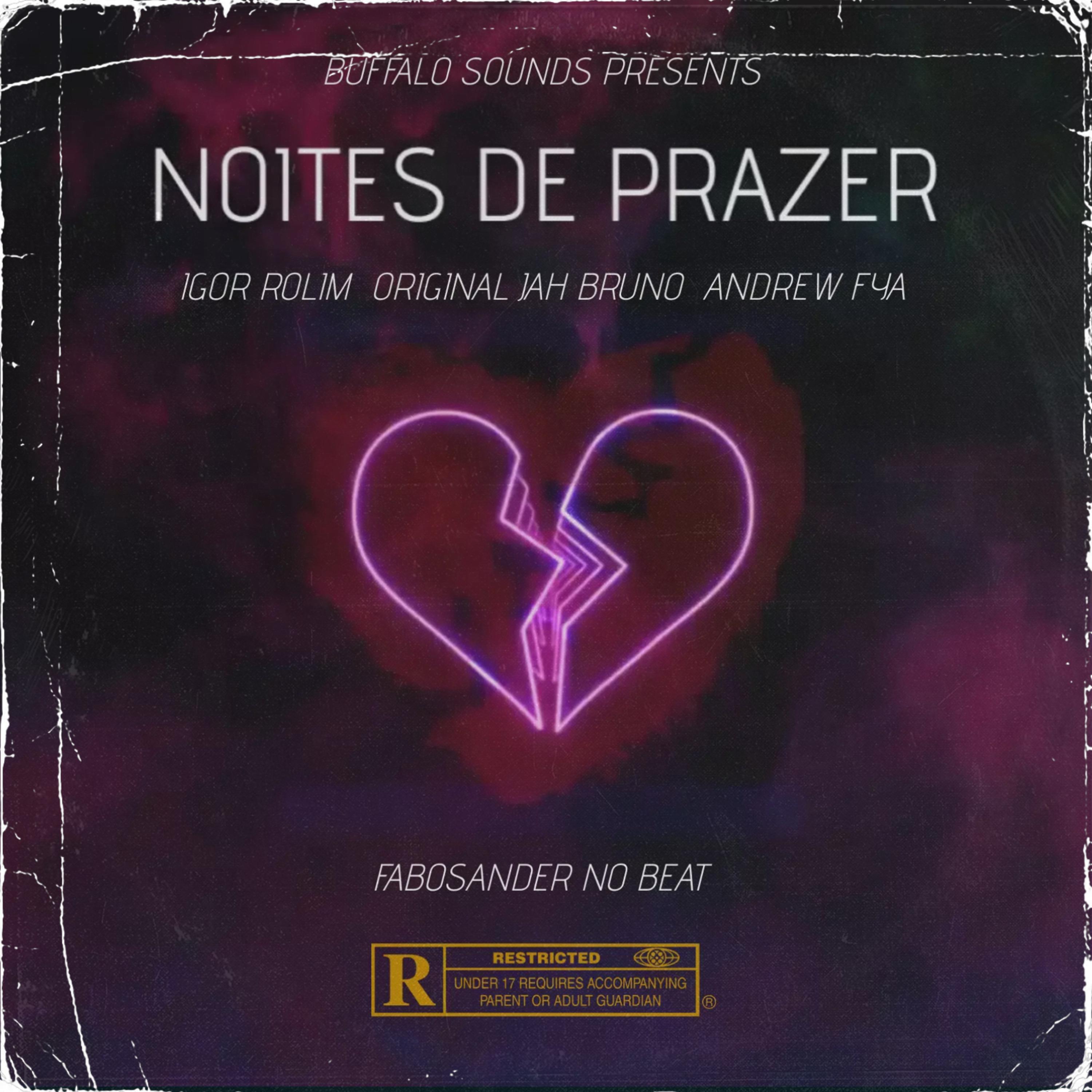Постер альбома Noites de Prazer