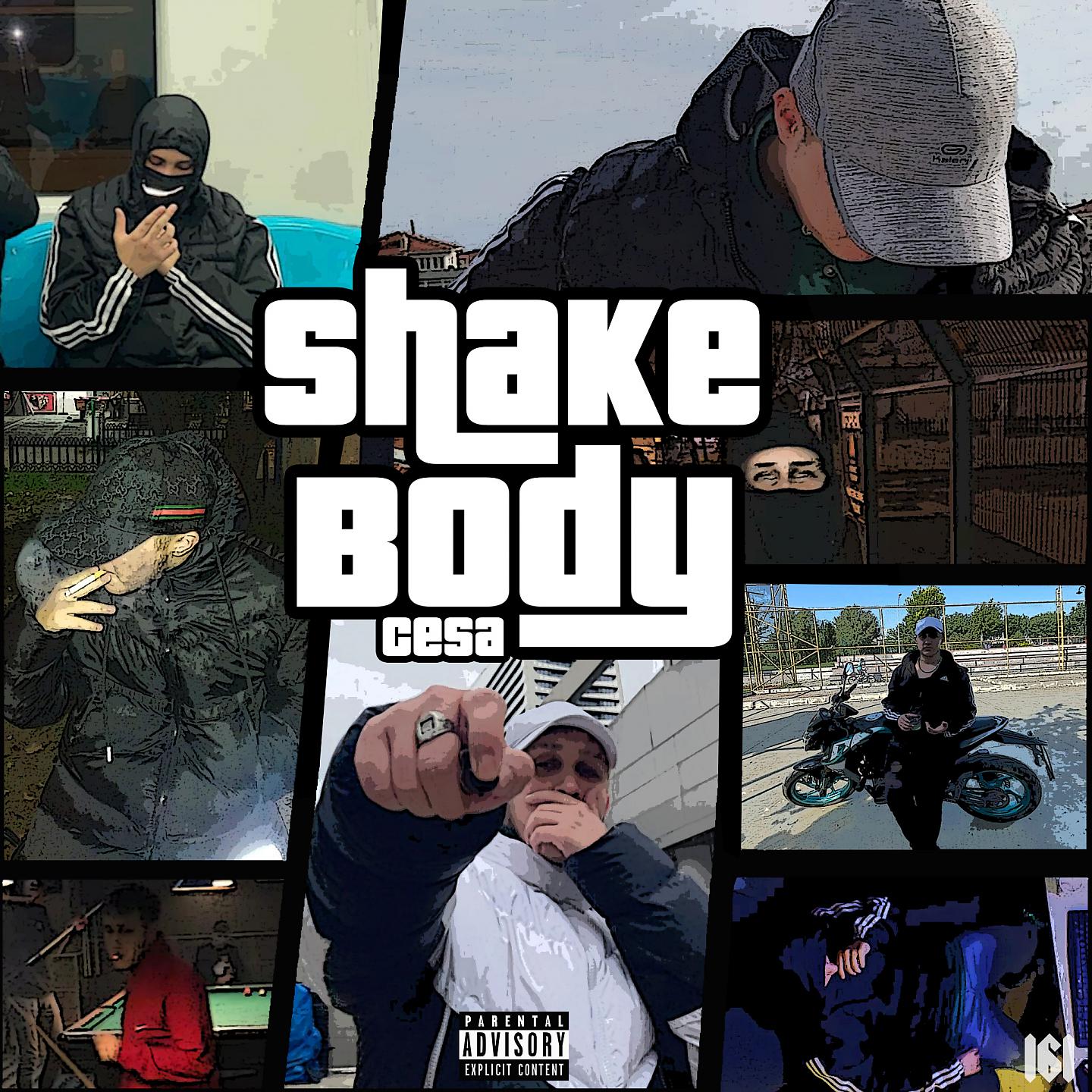 Постер альбома Shake Body