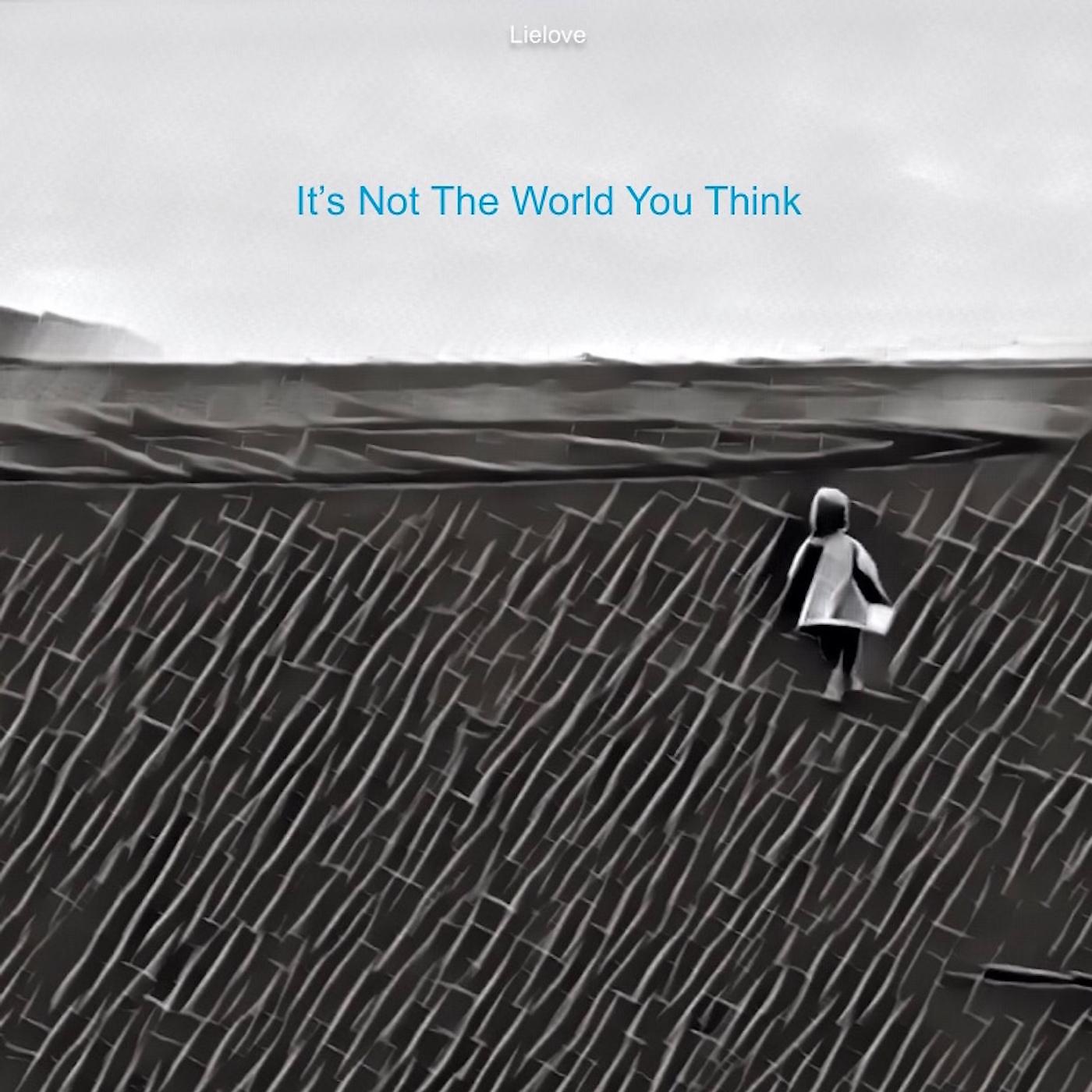 Постер альбома It's Not the World You Think