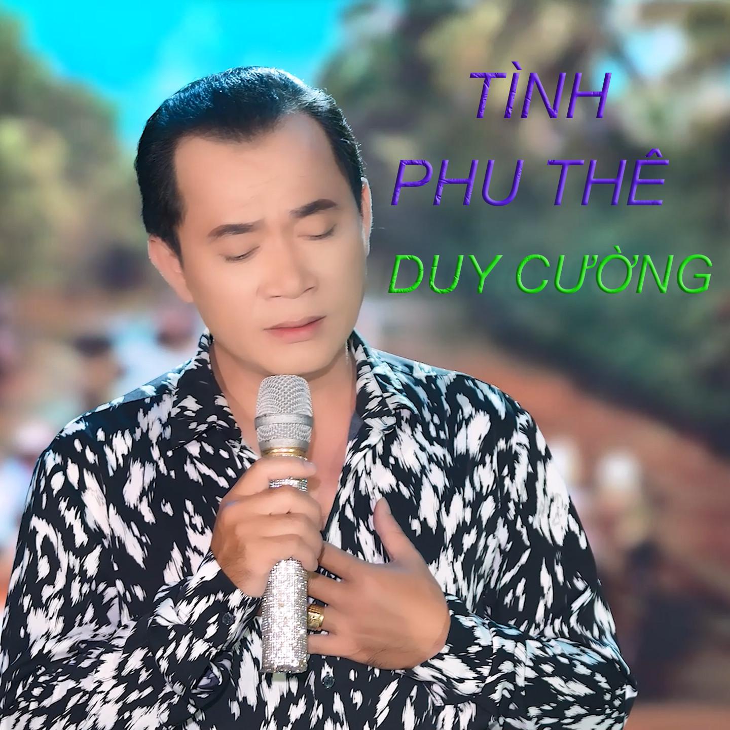 Постер альбома Tình Phu Thê