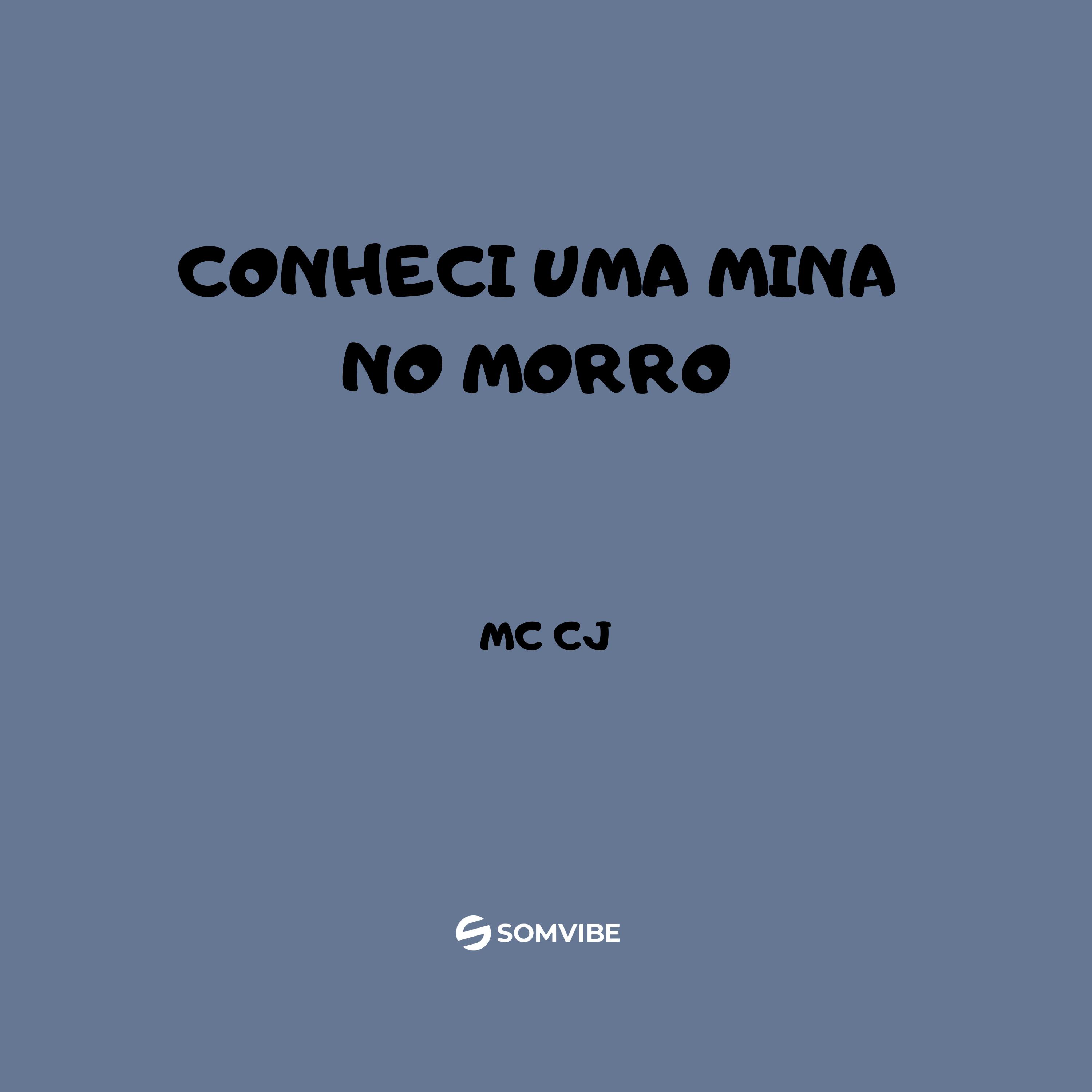 Постер альбома Conheci uma Mina no Morro