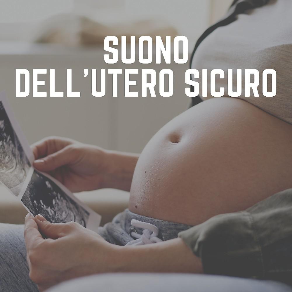 Постер альбома Suono Dell'utero Sicuro