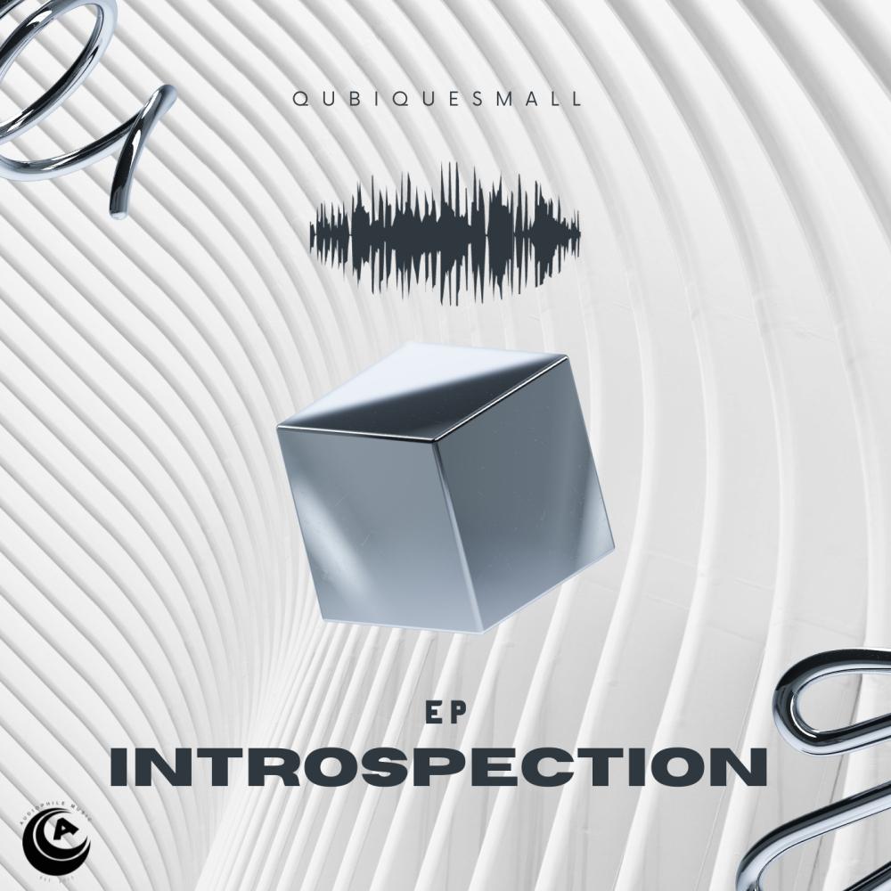 Постер альбома Introspection Ep