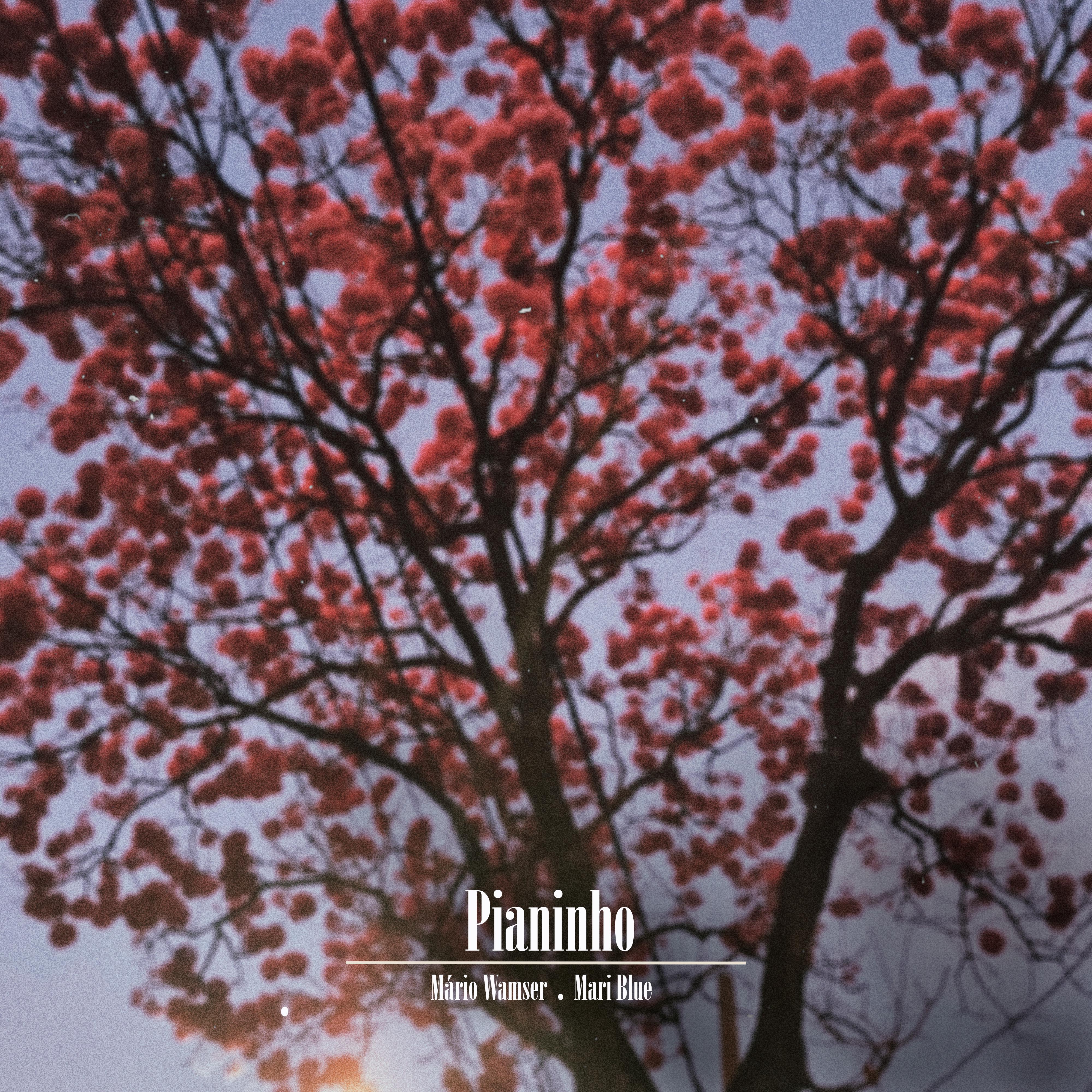 Постер альбома Pianinho