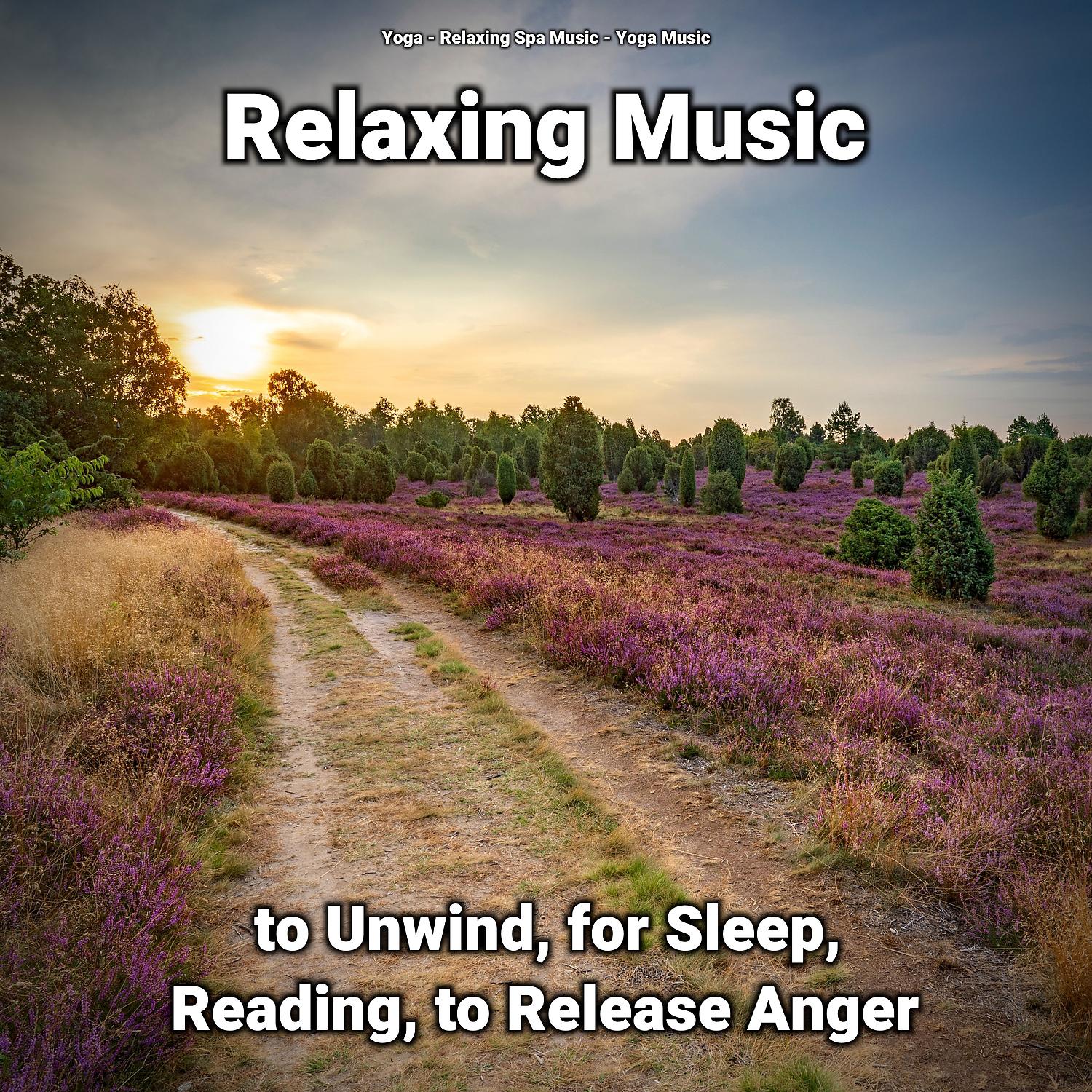 Постер альбома Relaxing Music to Unwind, for Sleep, Reading, to Release Anger