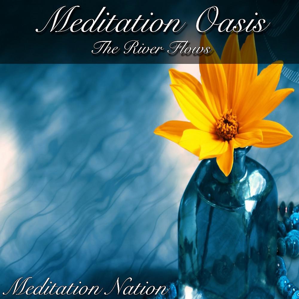 Постер альбома Meditation Oasis the River Flows