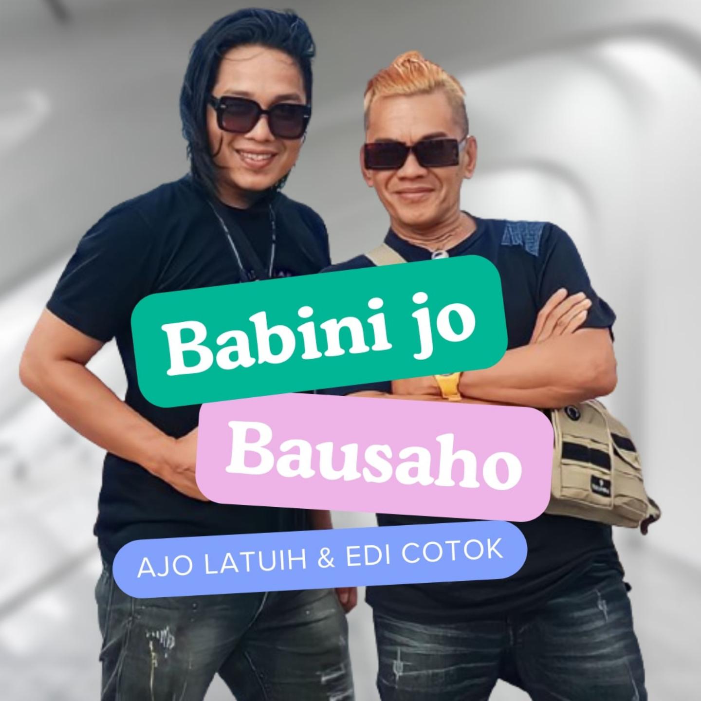 Постер альбома Babini jo bausaho