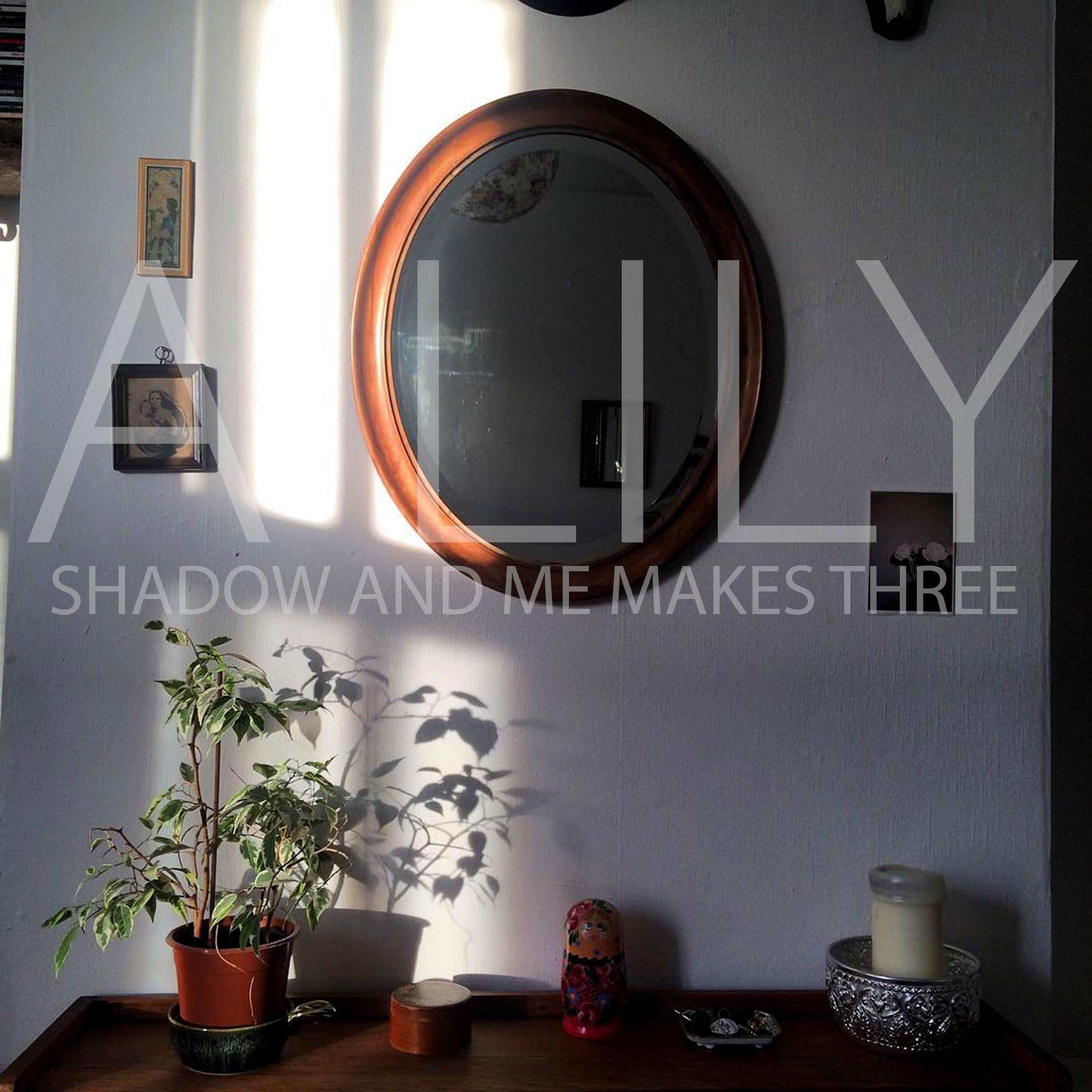 Постер альбома Shadow & Me Makes Three
