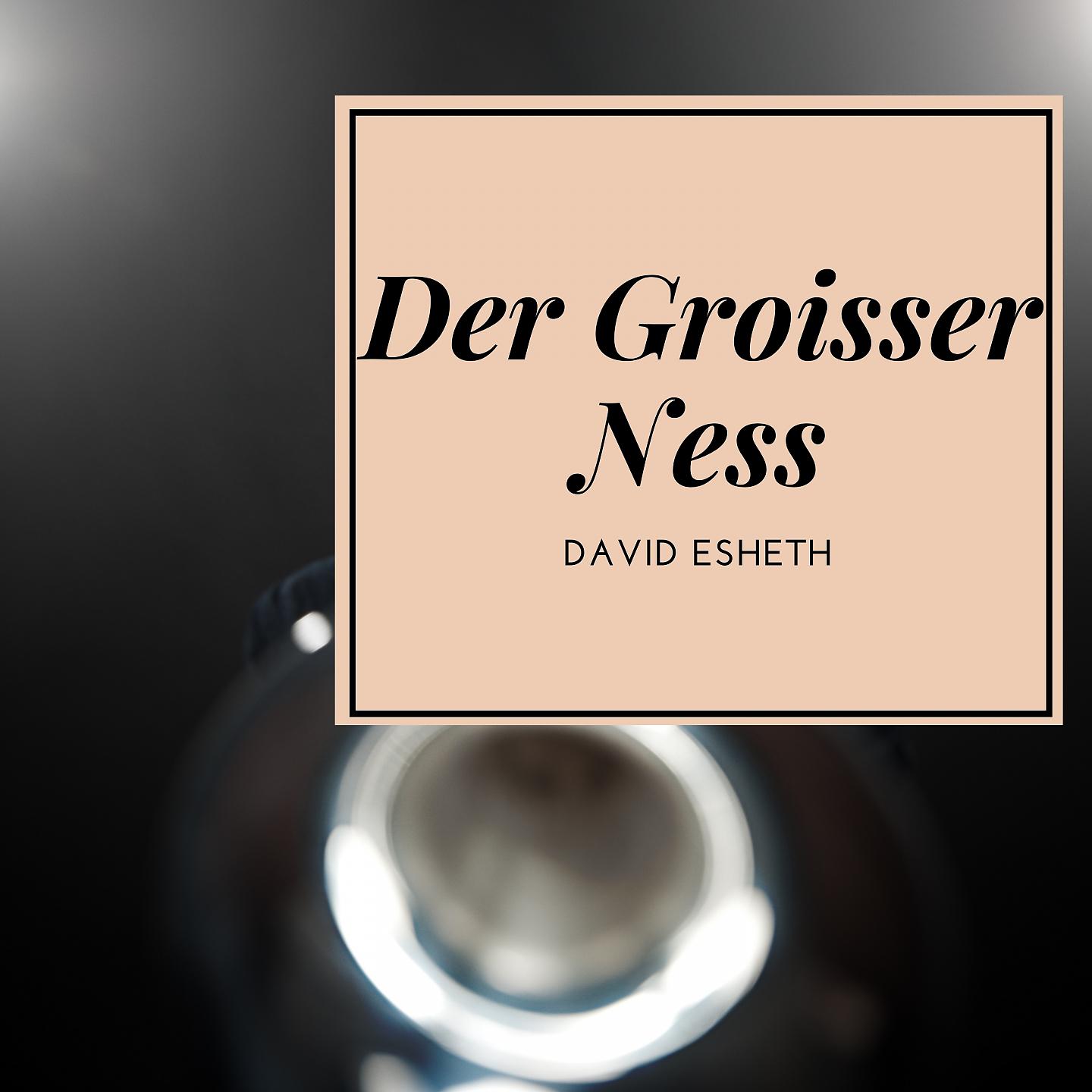 Постер альбома Der Groisser Ness