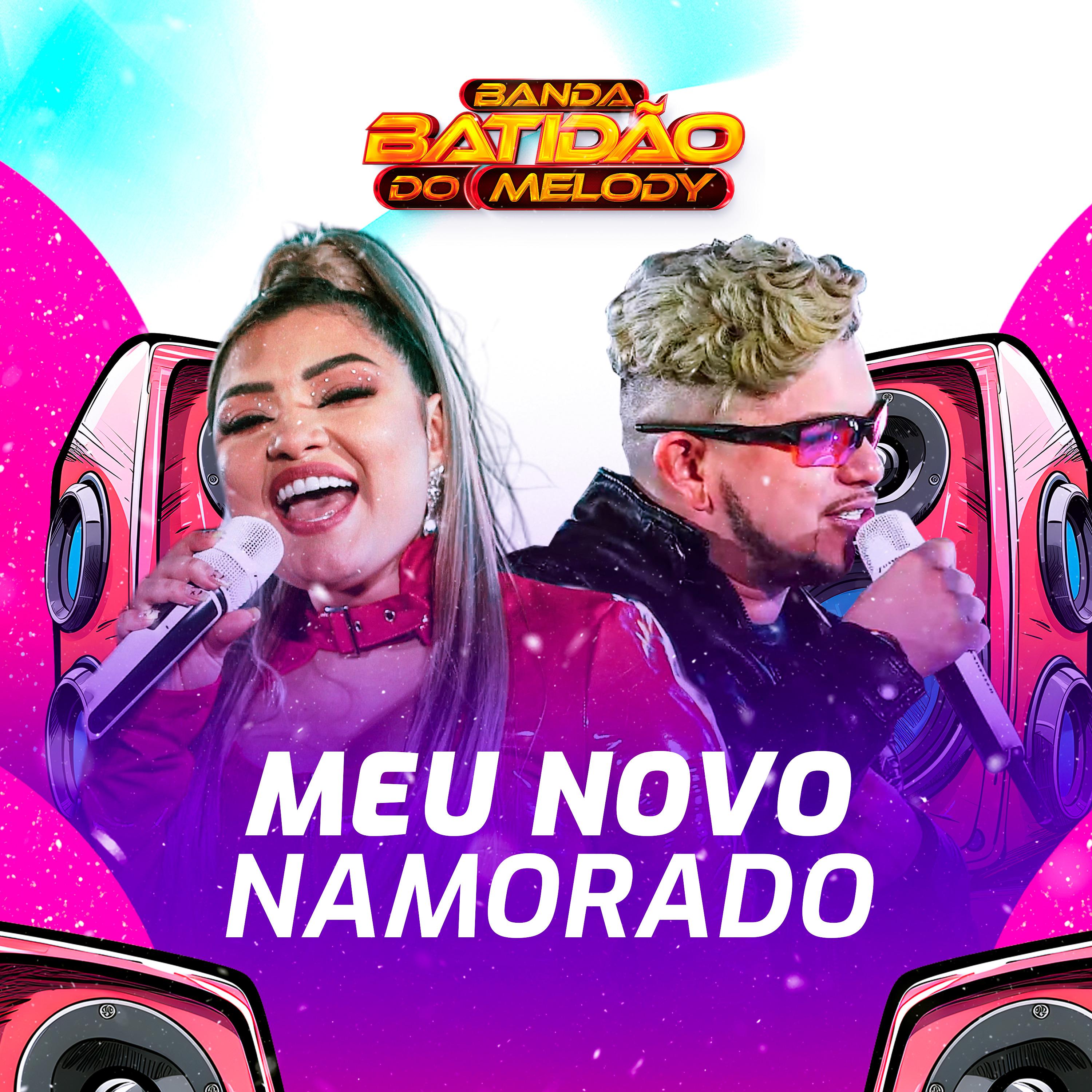 Постер альбома Novo Namorado