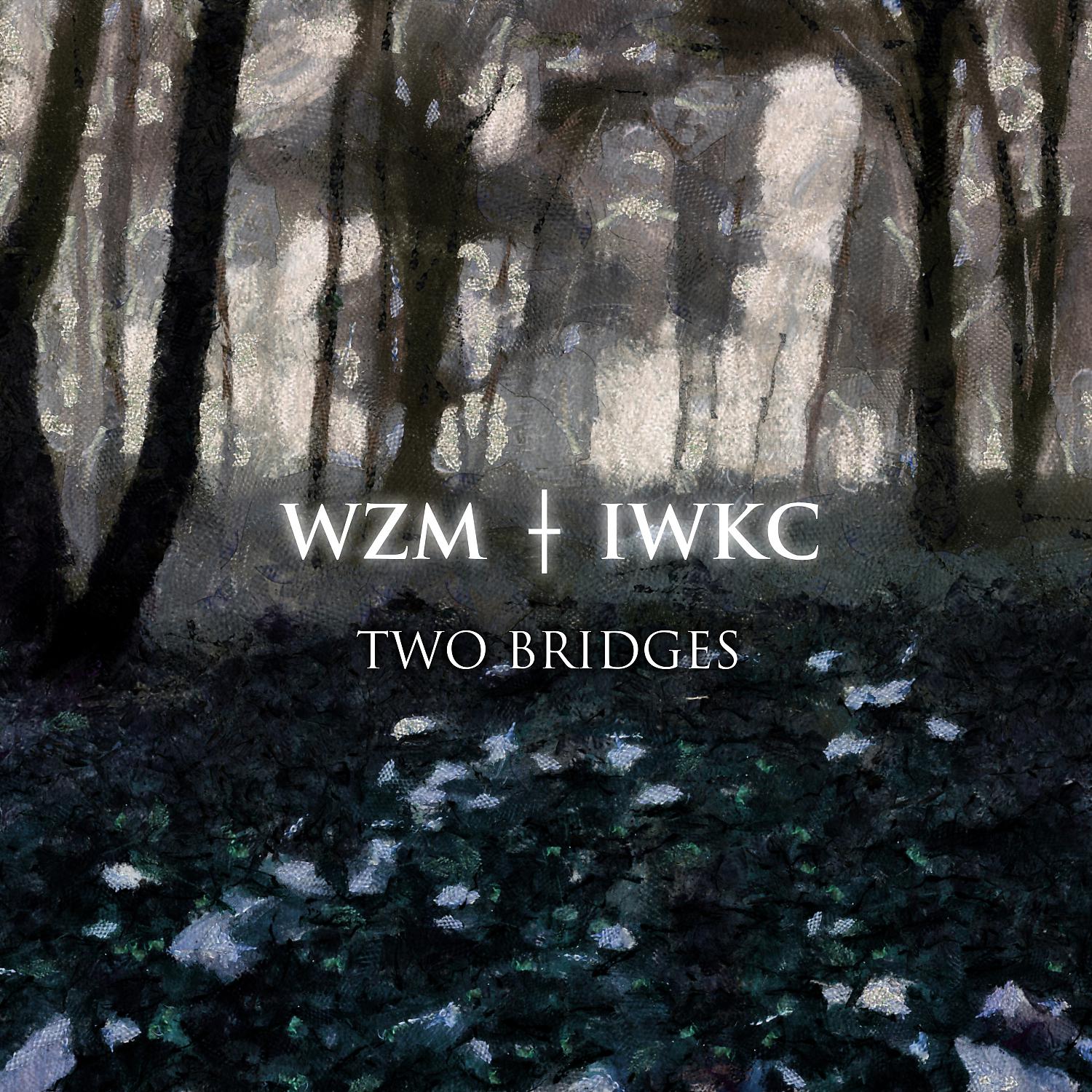 Постер альбома Two Bridges