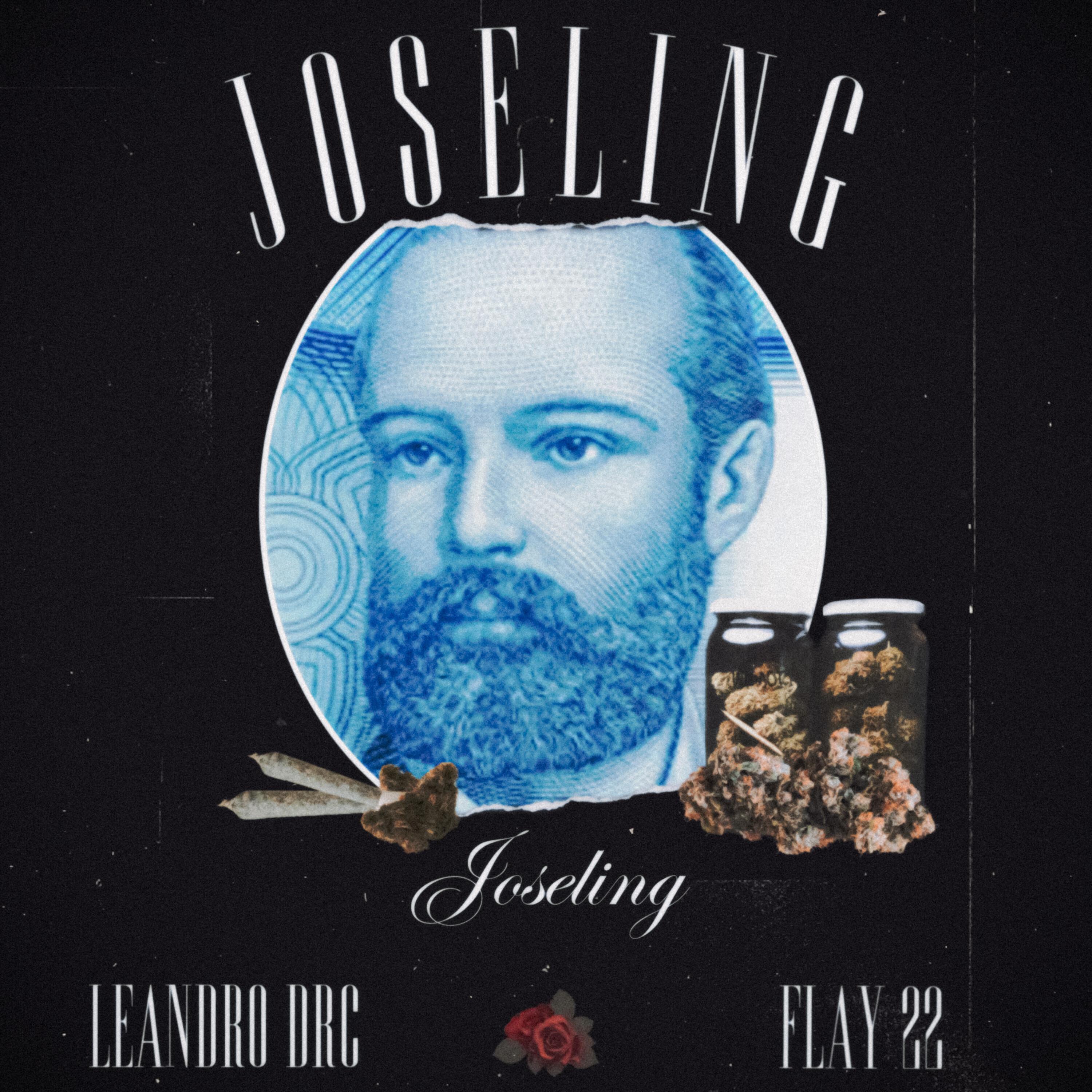 Постер альбома Joseling